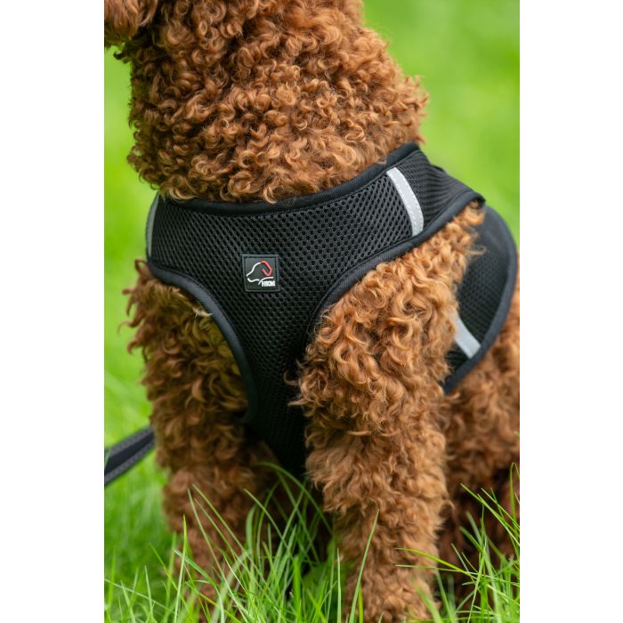 HKM Dog Harness -Buddy Soft- - Image 9