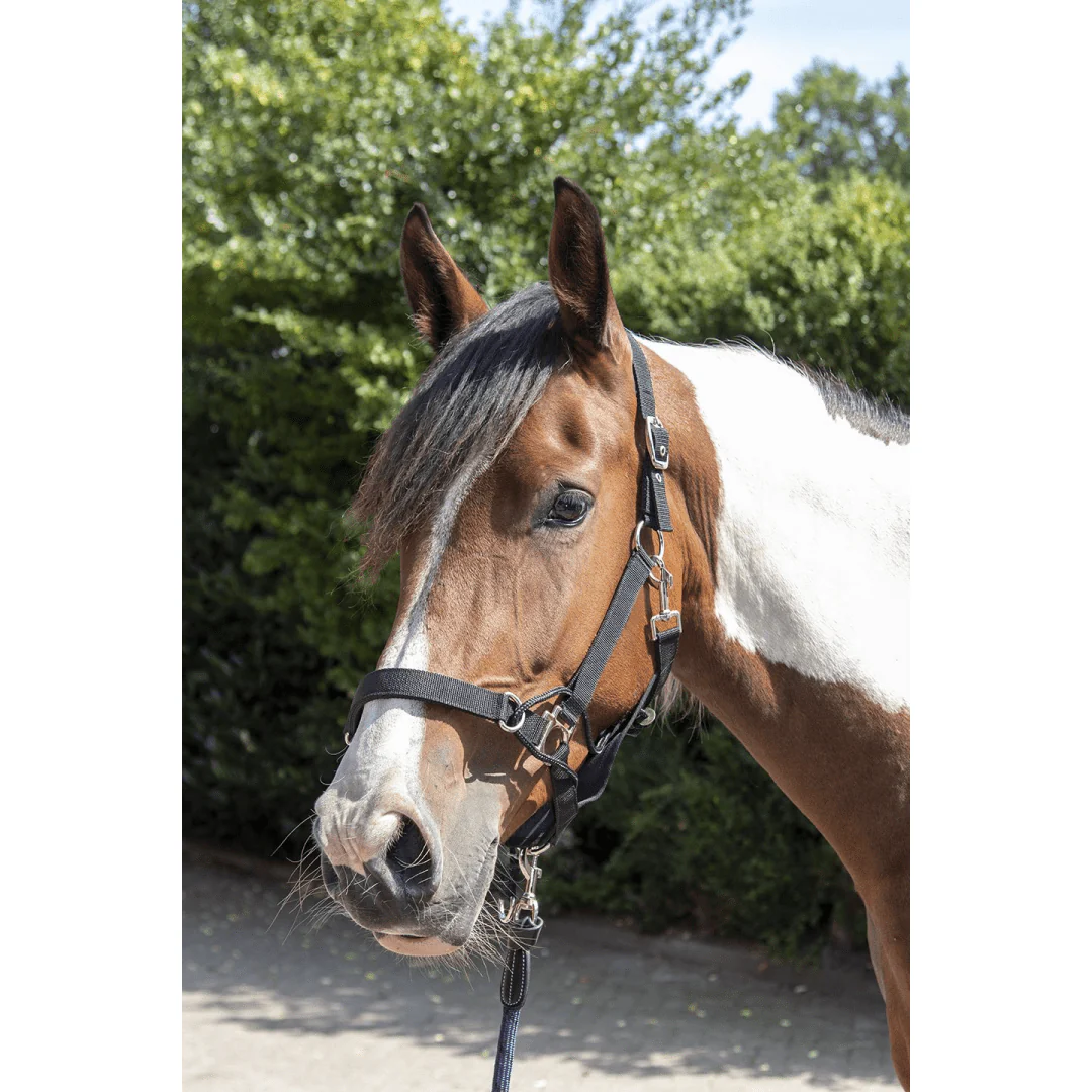 HKM Safe Control Style Head Collar - Image 8