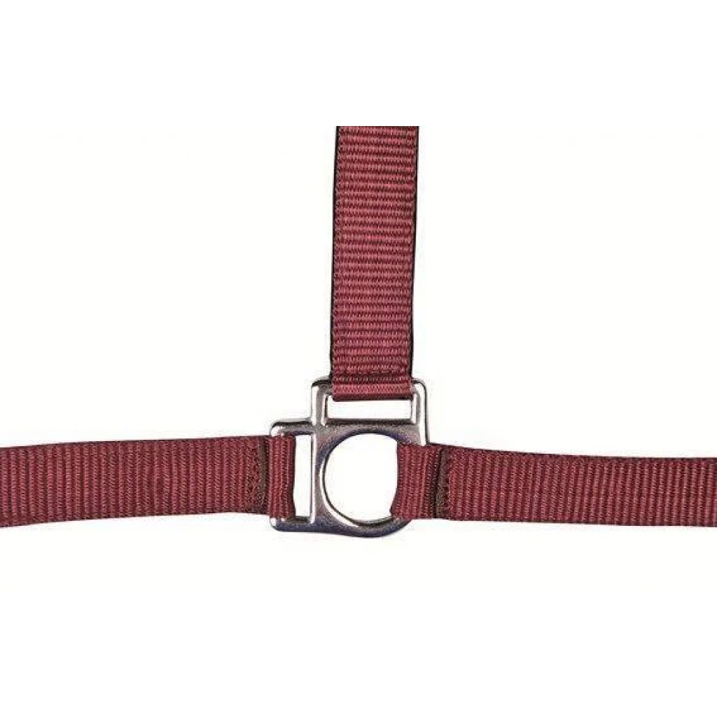 HKM Head Collar -Stars- with Soft Padding - Image 4