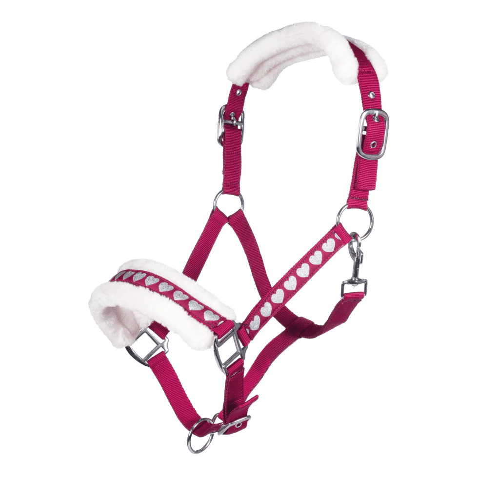 HKM Sweet Valentine Head Collar