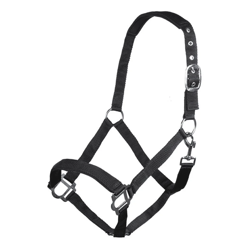 HKM Sydney Style Head Collar With Soft Padding - Image 11