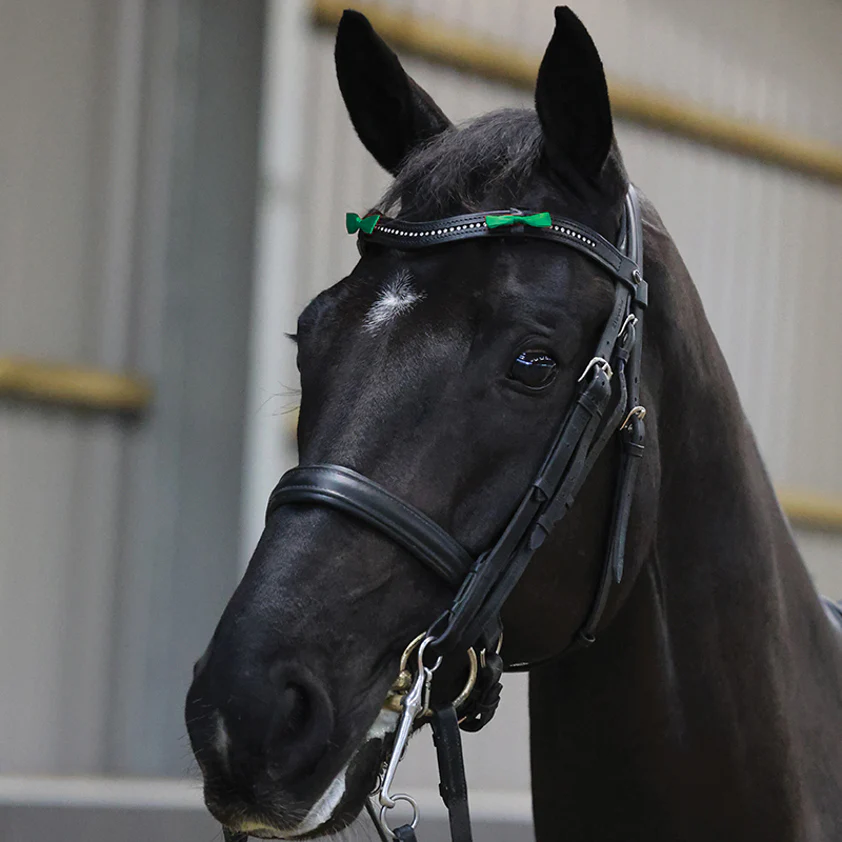 Equetech Horse Bridle Warning Ribbons - Image 3