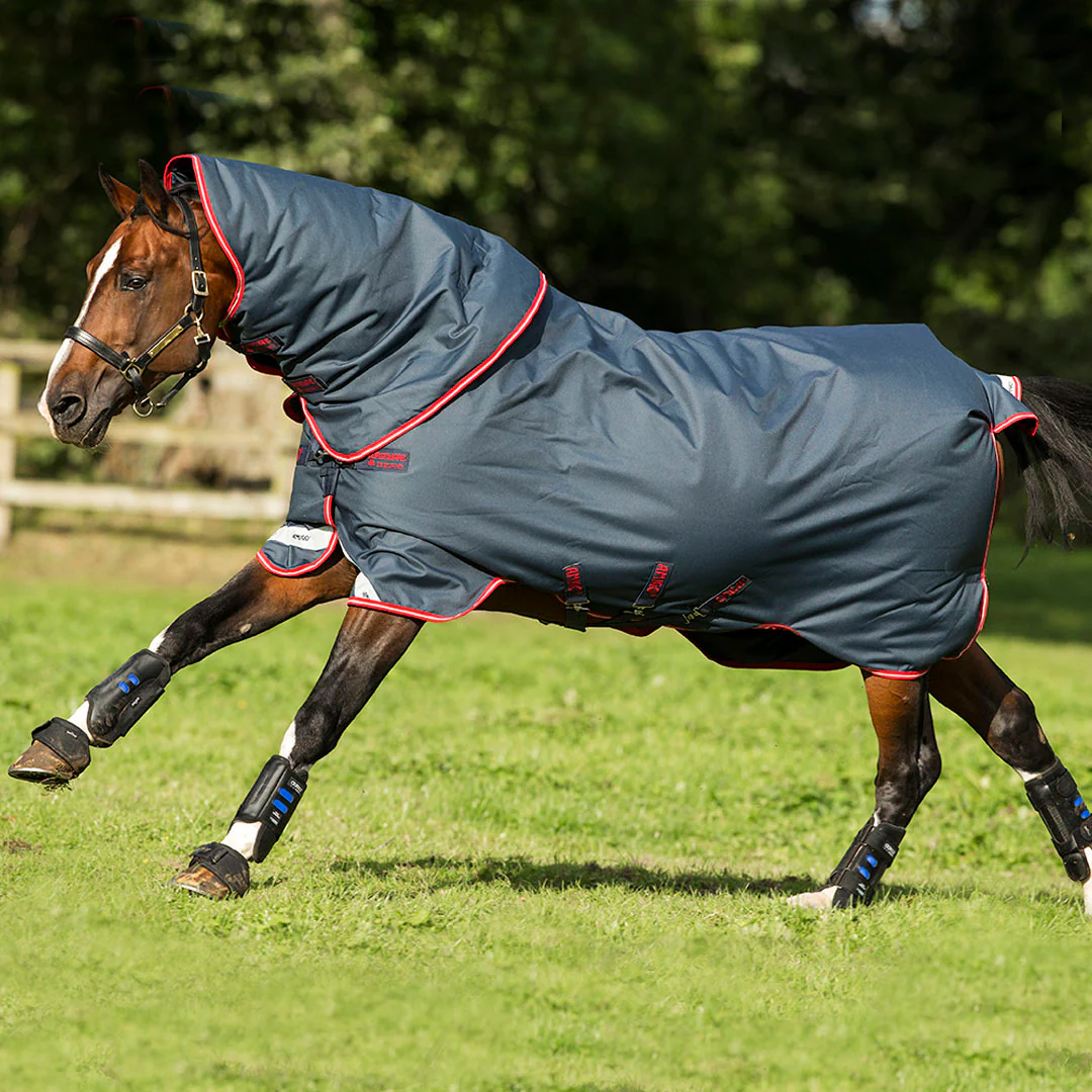 Horseware Ireland Amigo Bravo 12 Plus 250g Medium Turnout Rug - Image 19
