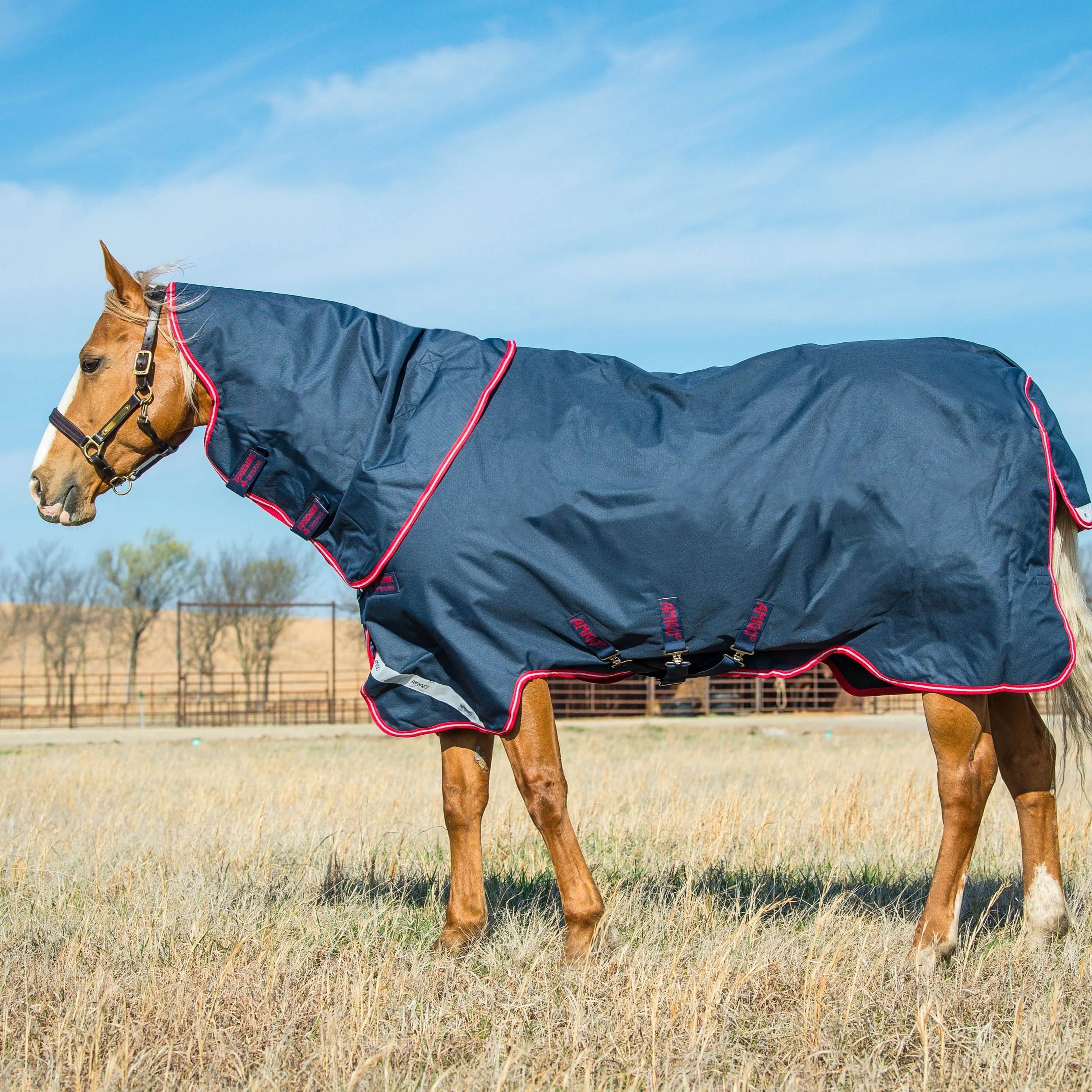 Horseware Ireland Amigo Bravo 12 Plus 250g Medium Turnout Rug - Image 21