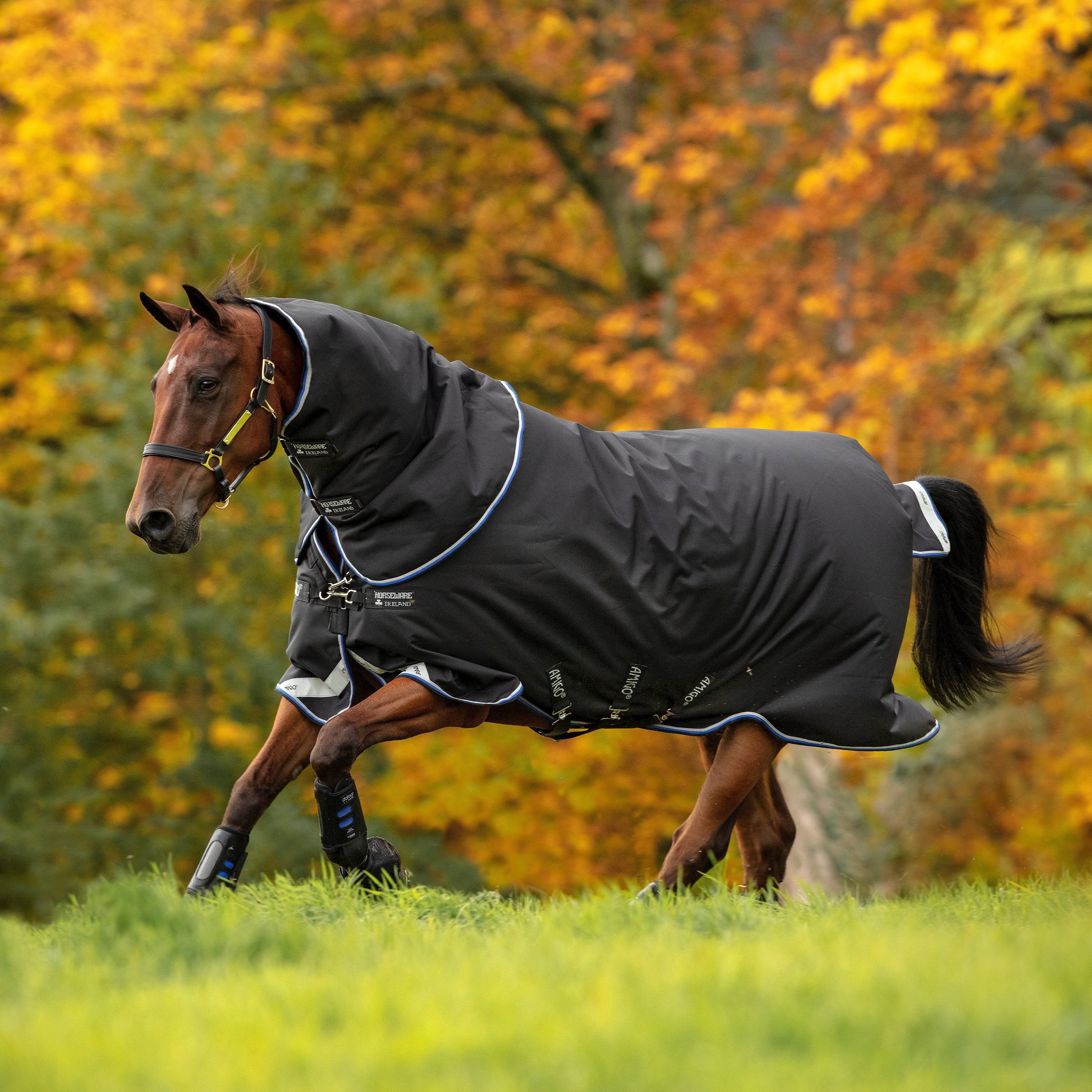 Horseware Ireland Amigo Bravo 12 Plus 250g Medium Turnout Rug - Image 23
