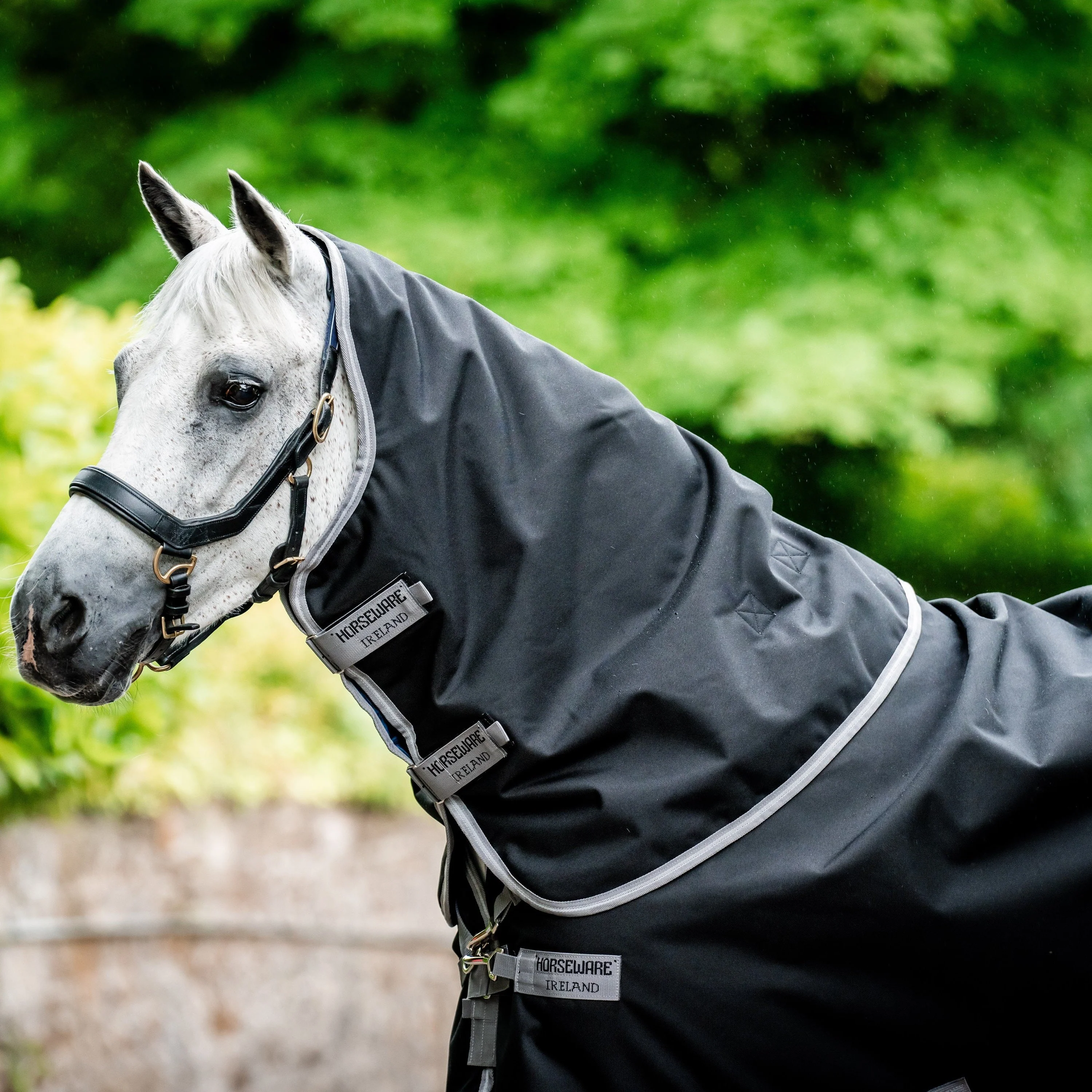Horseware Ireland Amigo Bravo 12 Plus 250g Medium Turnout Rug - Image 26