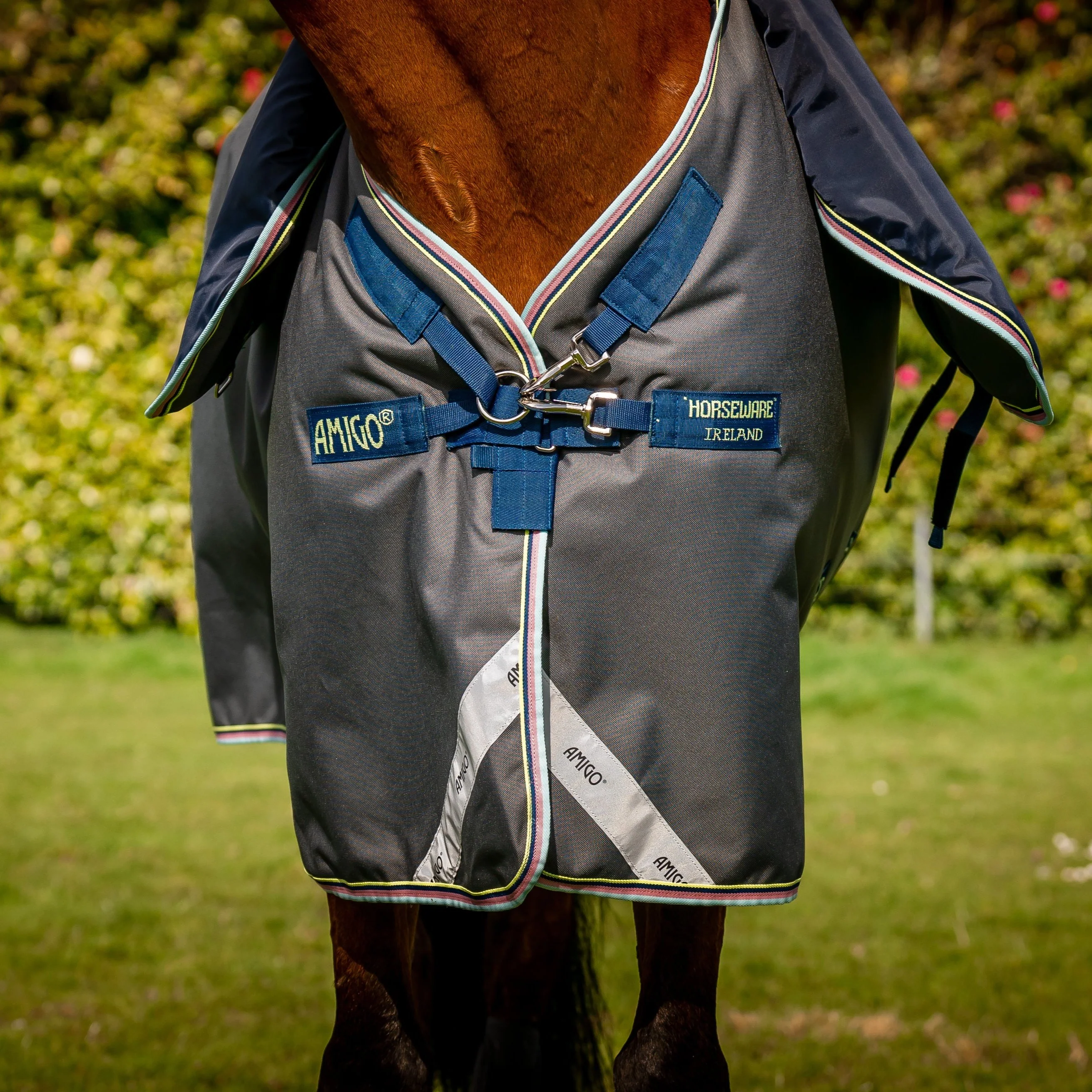 Horseware Ireland Amigo Bravo 12 Plus 250g Medium Turnout Rug - Image 3