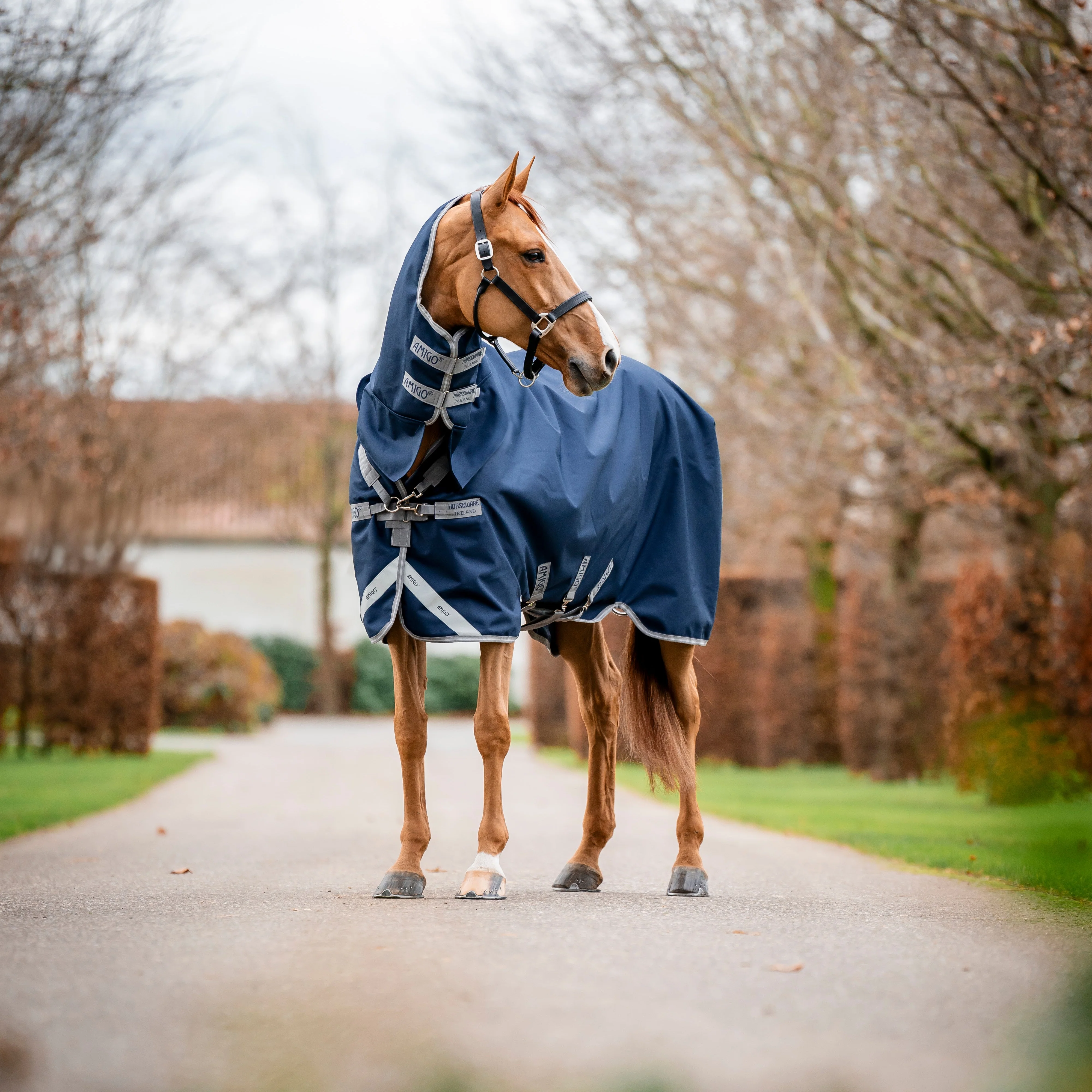 Horseware Ireland Amigo 1200D Integrated 50g Turnout Rug - Image 2