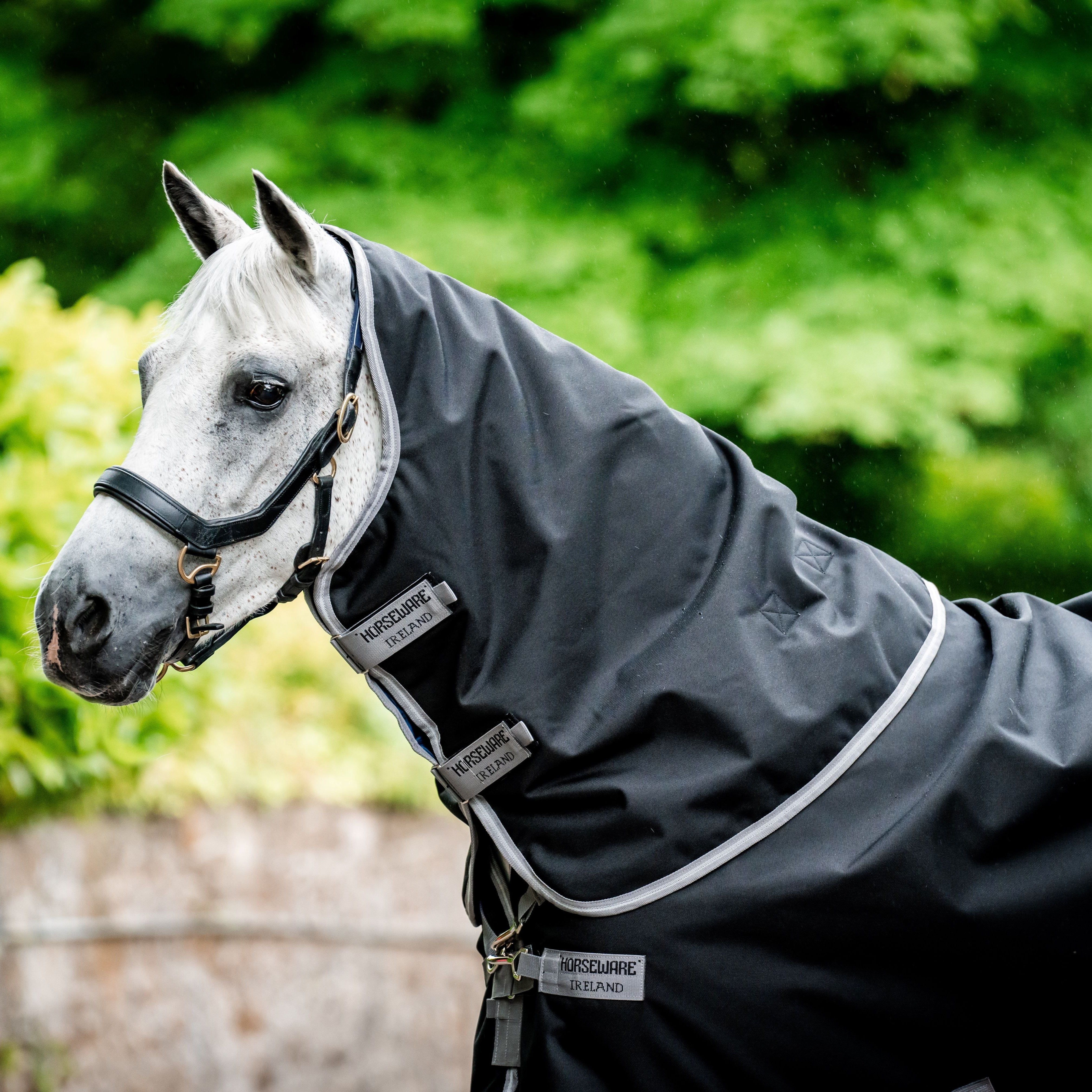Horseware Ireland Amigo 1200D Plus 50g Turnout Rug - Image 10