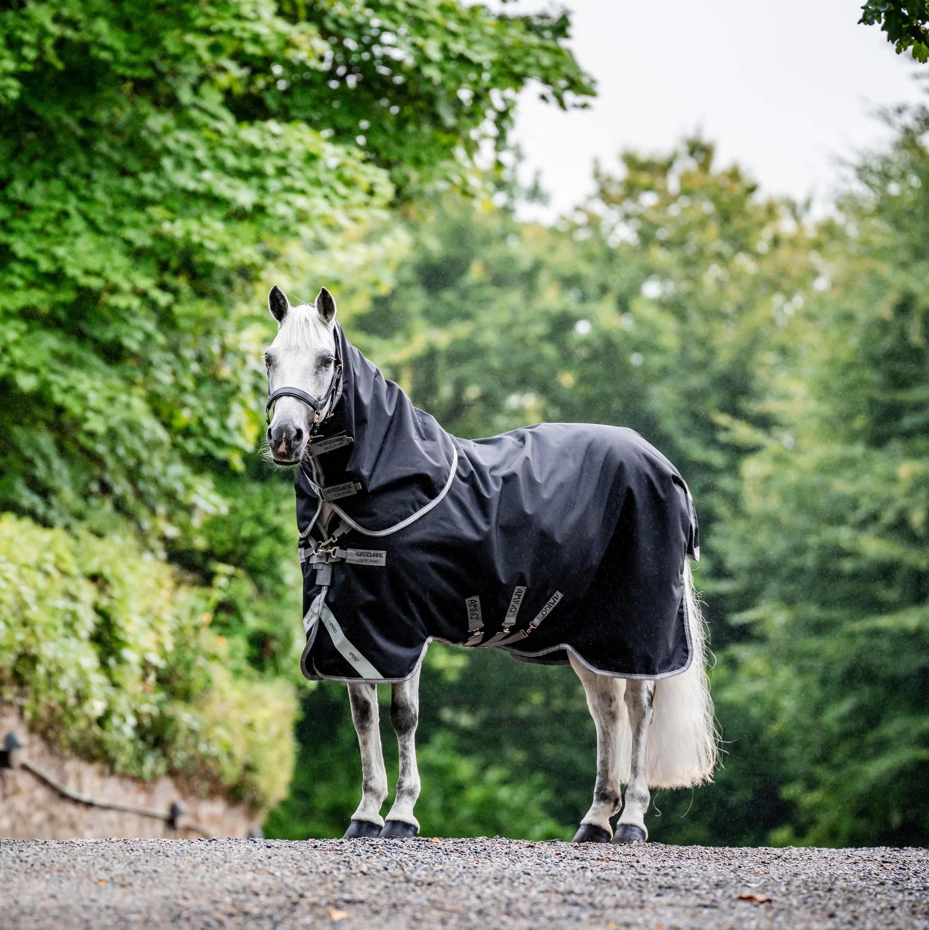 Horseware Ireland Amigo Bravo 12 Plus 100g - Image 10