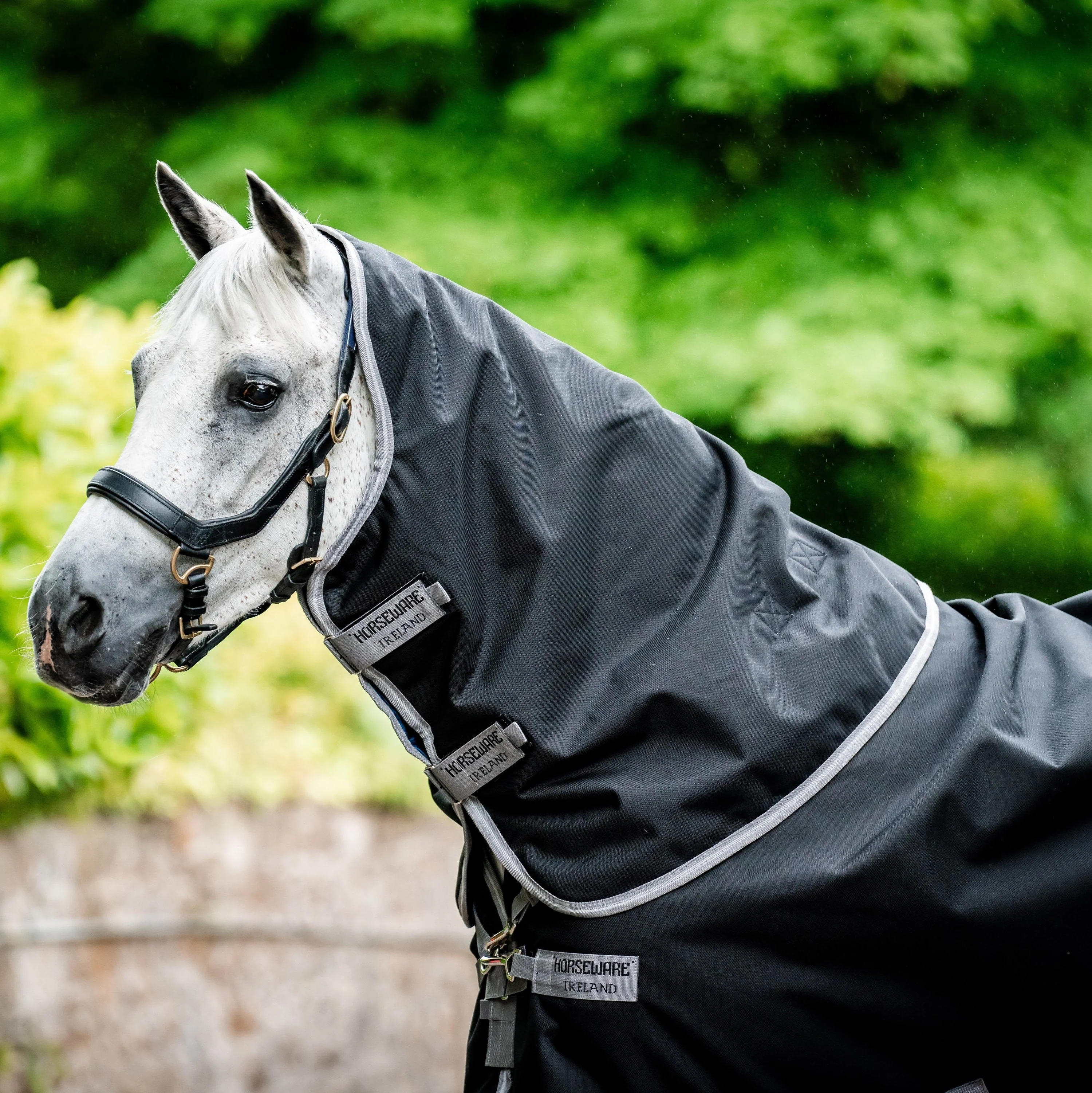 Horseware Ireland Amigo Bravo 12 Plus 100g - Image 11