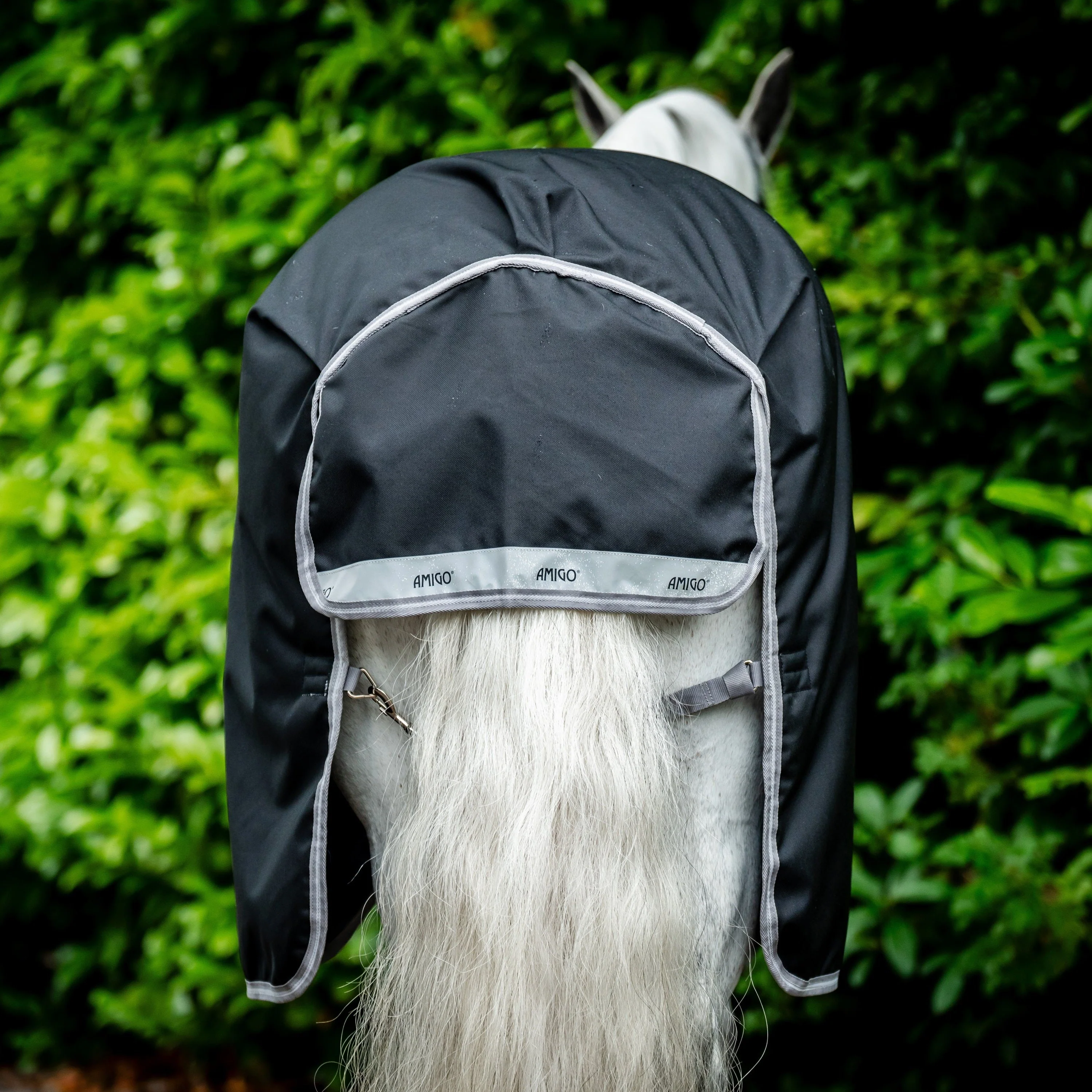 Horseware Ireland Amigo Bravo 12 Plus 100g - Image 16