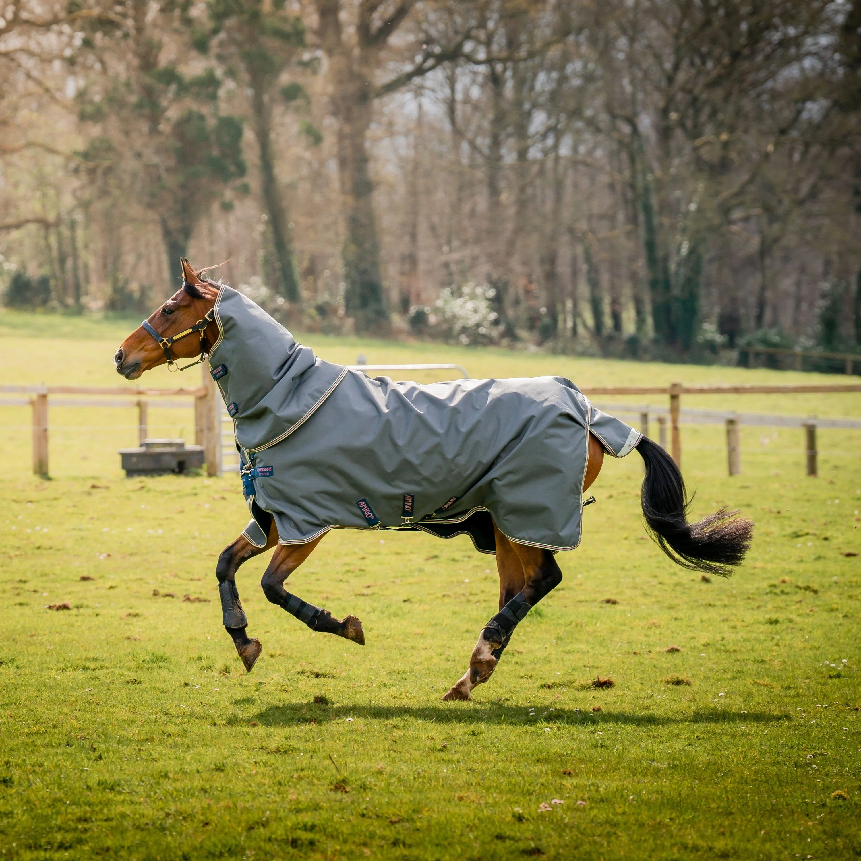 Horseware Ireland Amigo Bravo 12 Plus Bundle V-Front 50g Turnout Rug - Image 9