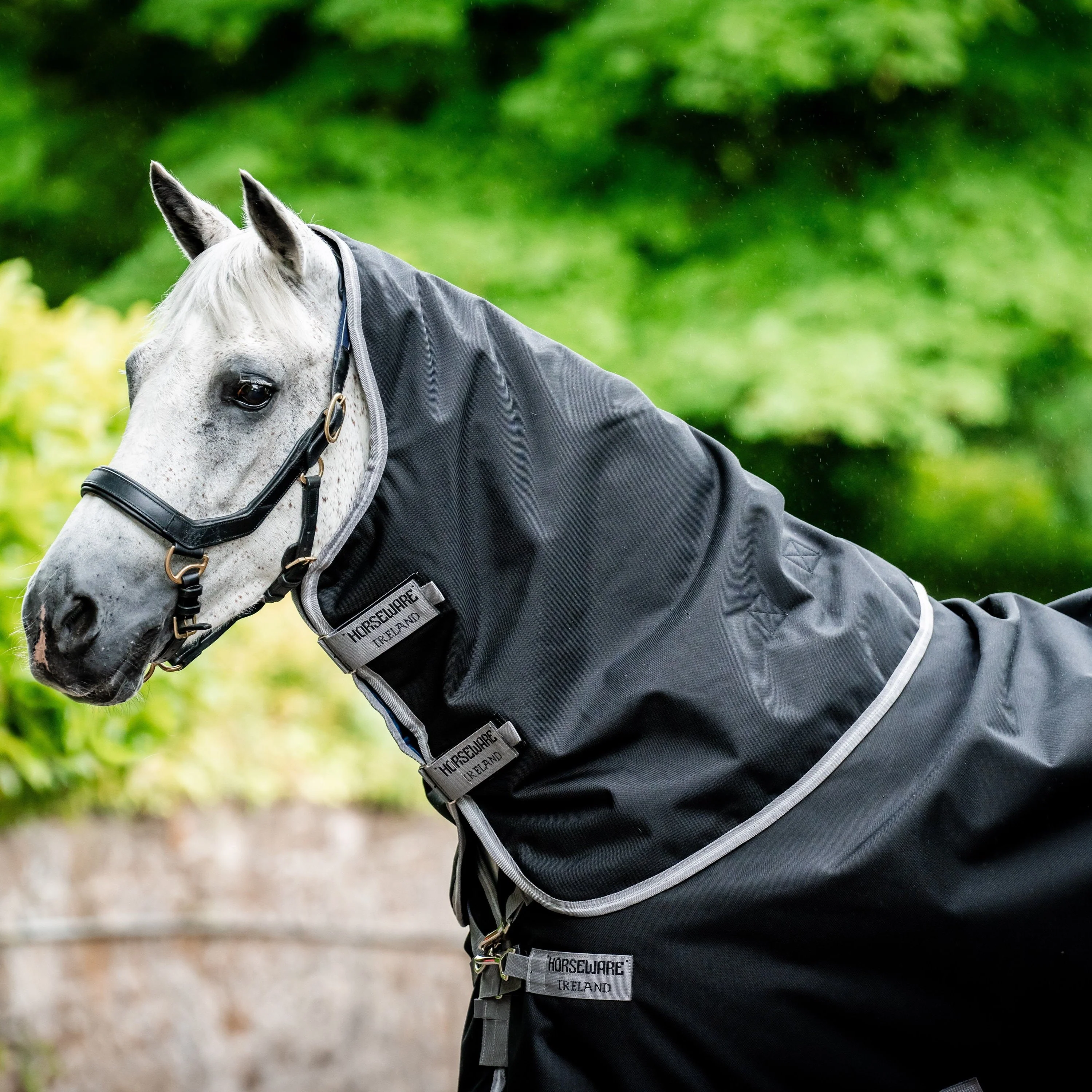 Horseware Ireland Amigo Bravo 12 Plus 0g Lite Turnout Rug - Image 17
