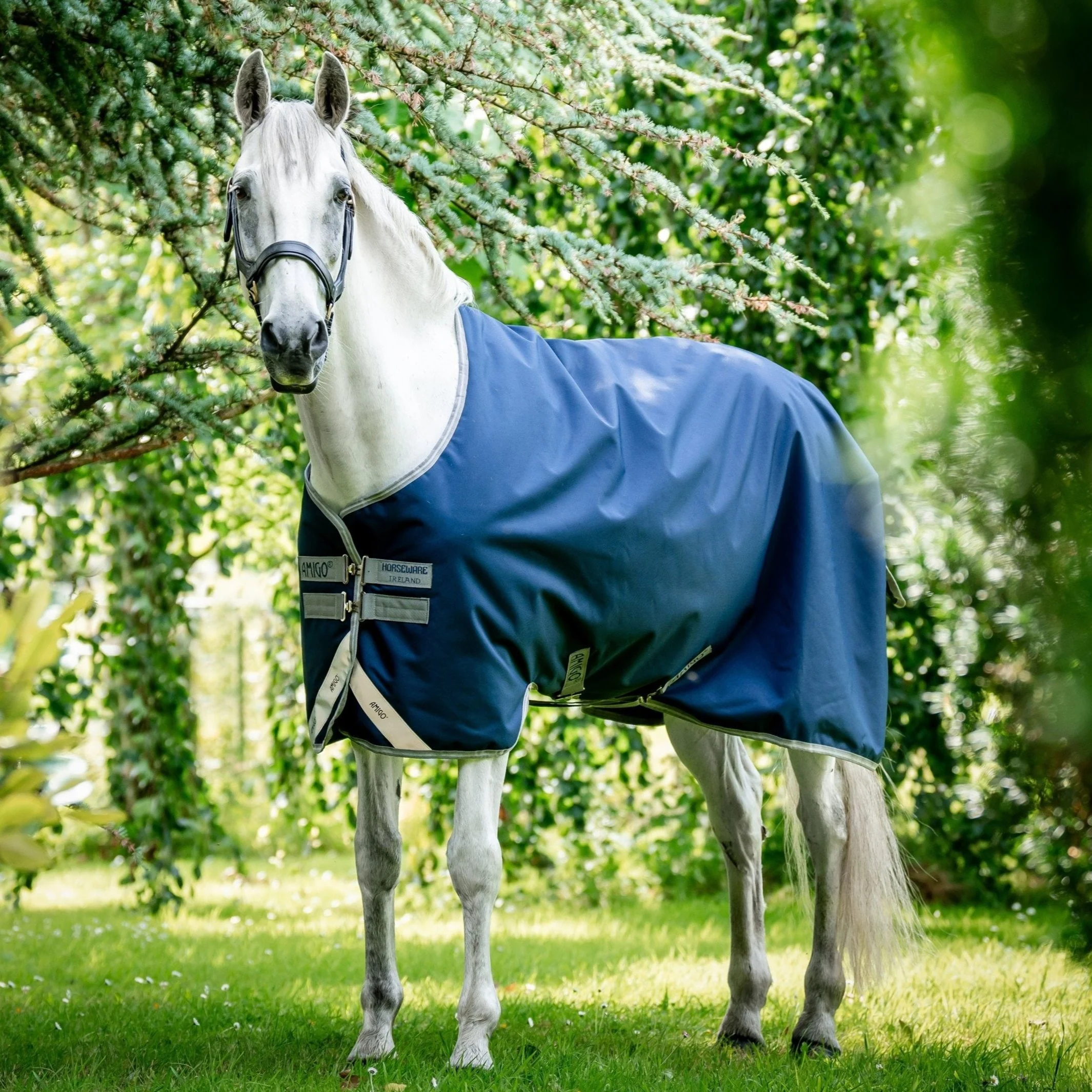 Horseware Ireland Amigo Bravo 12 Original 250g Medium Turnout Rug - Image 12