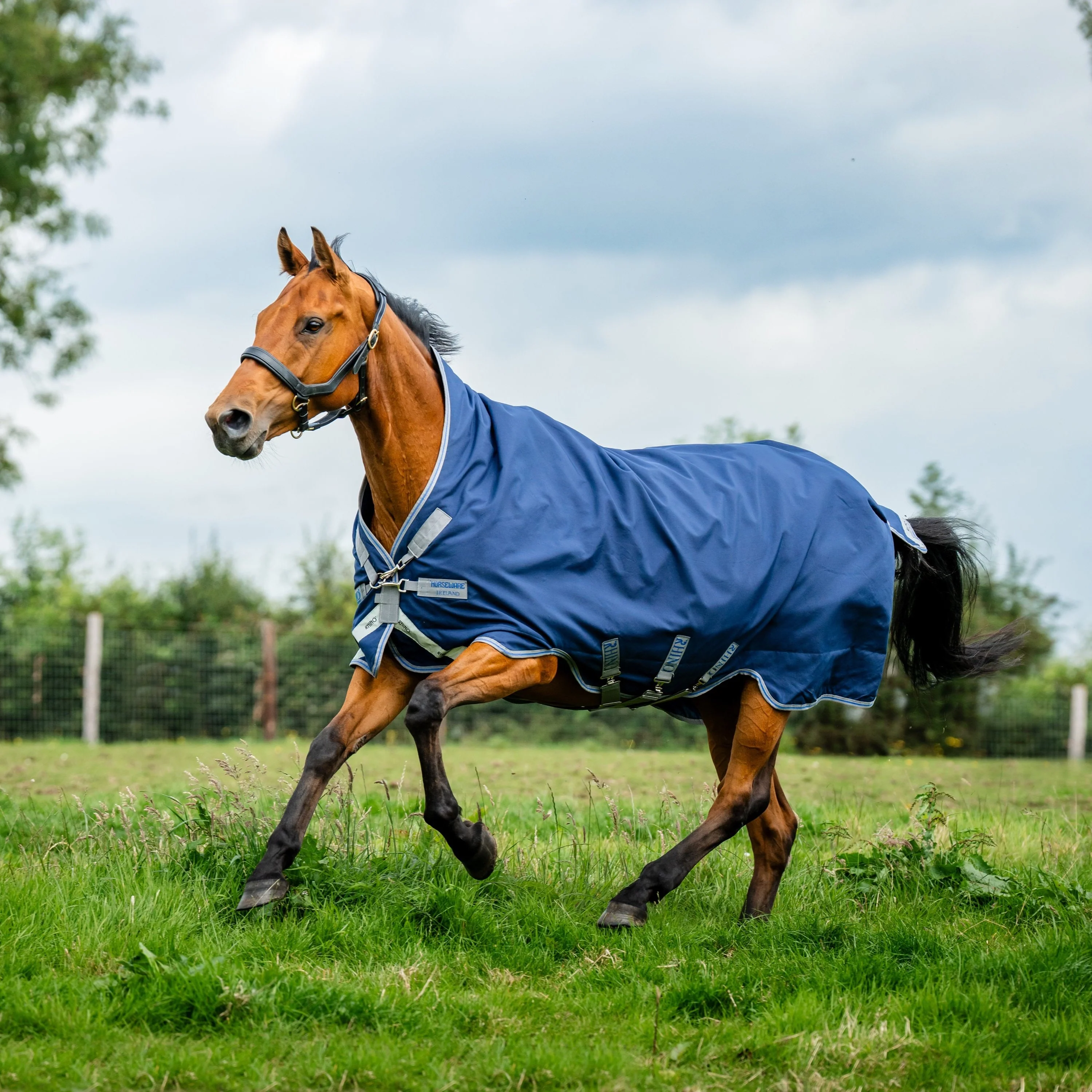 Horseware Ireland Amigo Bravo 12 Wug 0g Lite Turnout Rug