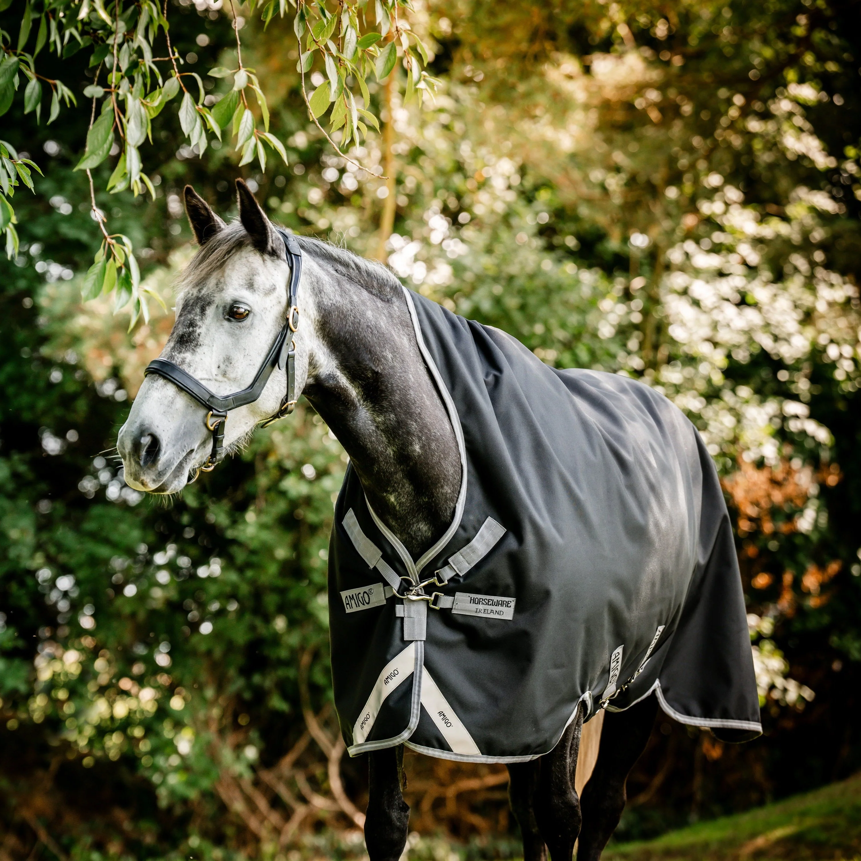 Horseware Ireland Amigo Bravo 12 Wug 0g Lite Turnout Rug - Image 11