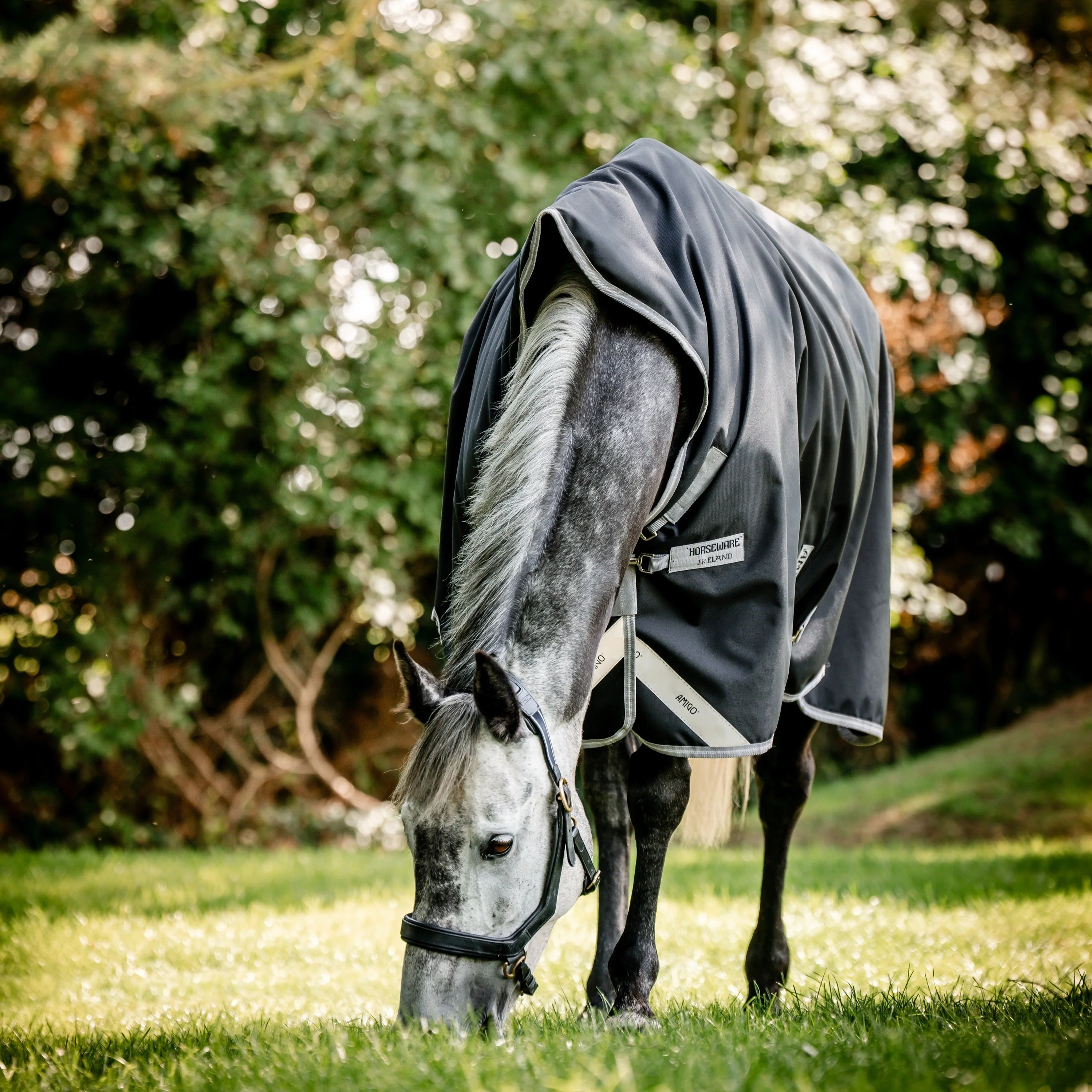 Horseware Ireland Amigo Bravo 12 Wug 0g Lite Turnout Rug - Image 12