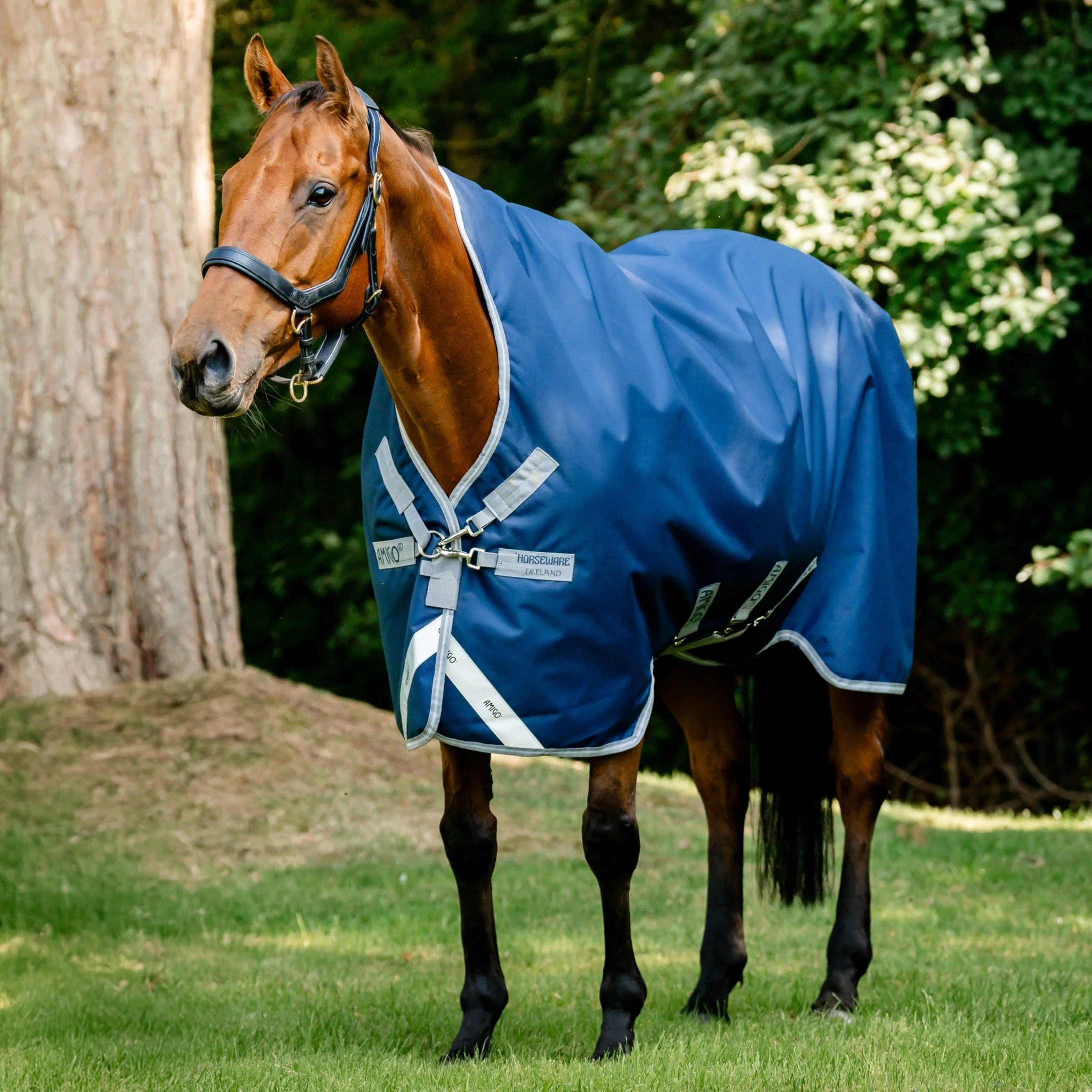 Horseware Ireland Amigo Bravo 12 Wug 0g Lite Turnout Rug - Image 18