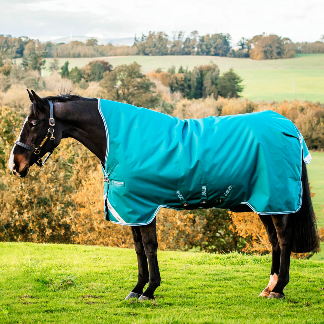 Horseware Ireland Amigo Bravo 12 Wug 0g Lite Turnout Rug - Image 3