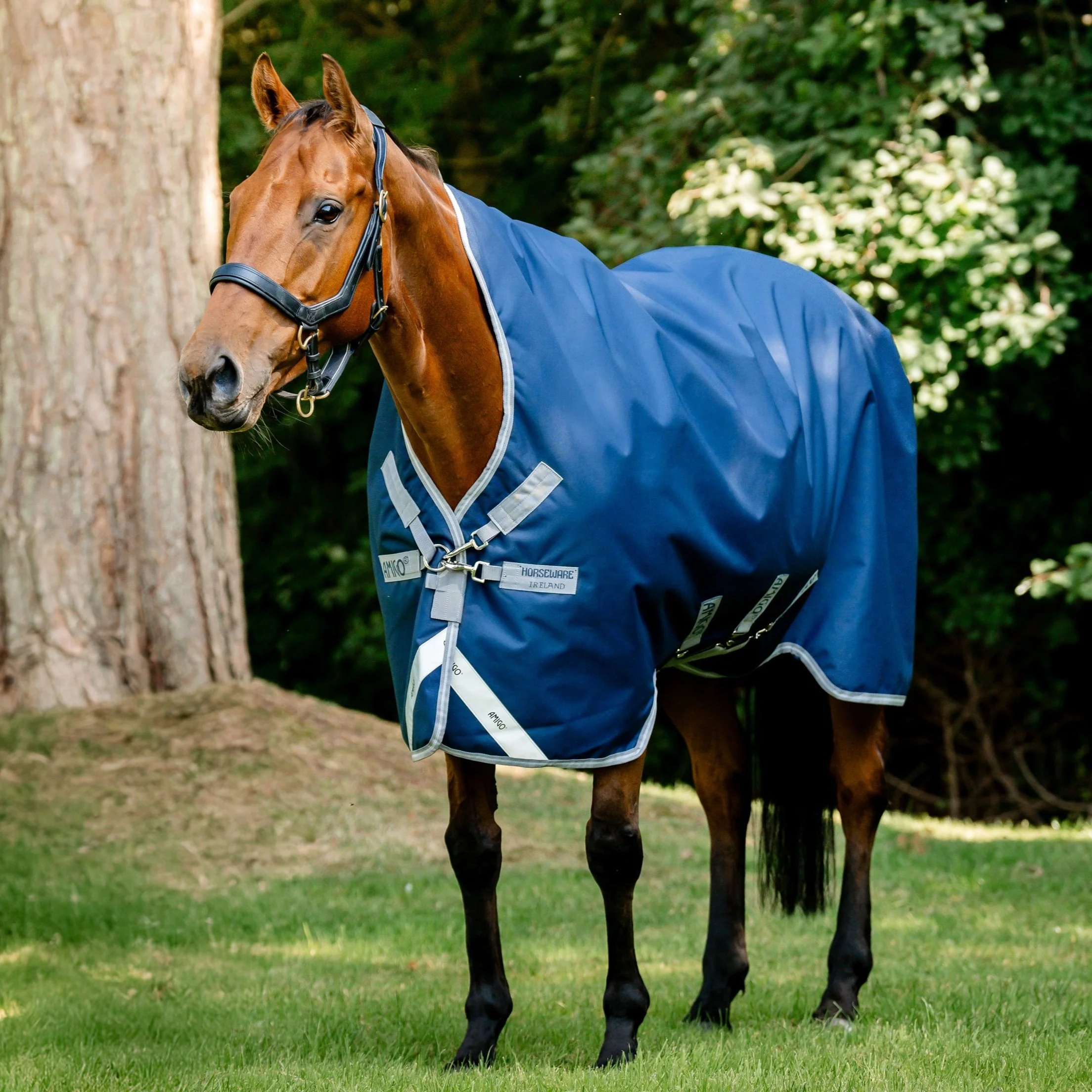 Horseware Ireland Amigo Bravo 12 Wug 400g Heavy Turnout Rug - Image 8