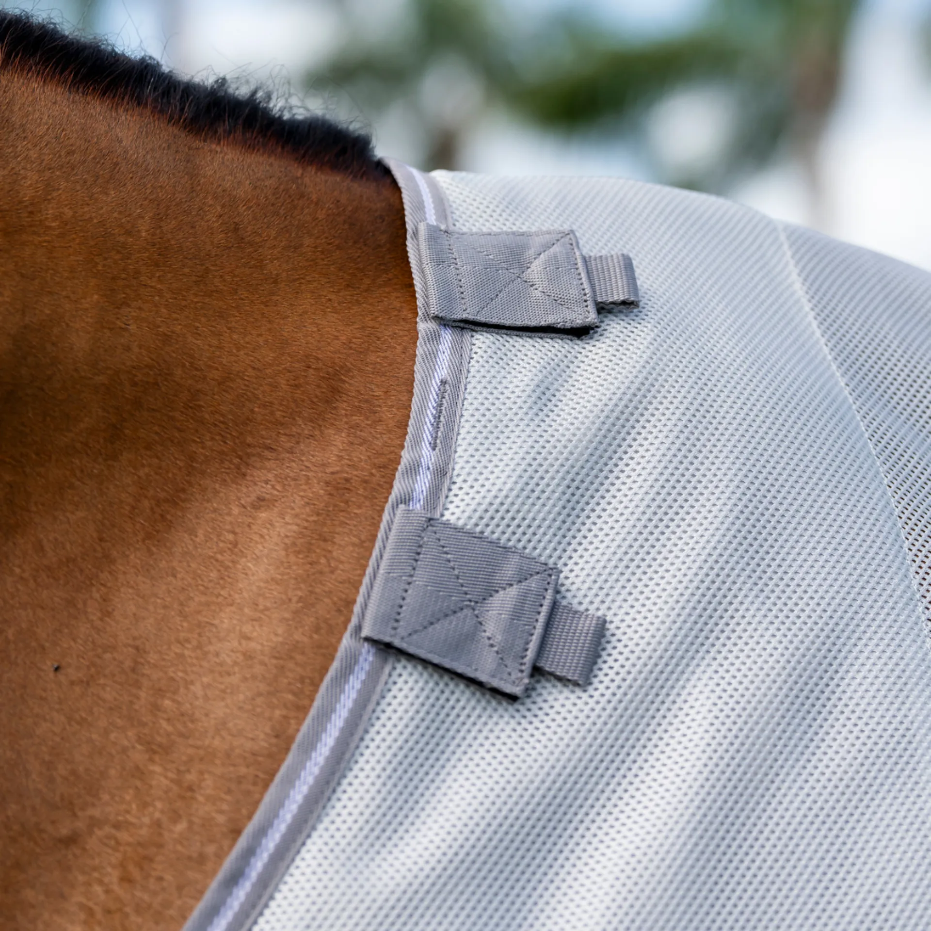 Horseware Ireland Amigo Bug Buster Fly Sheet - Image 5