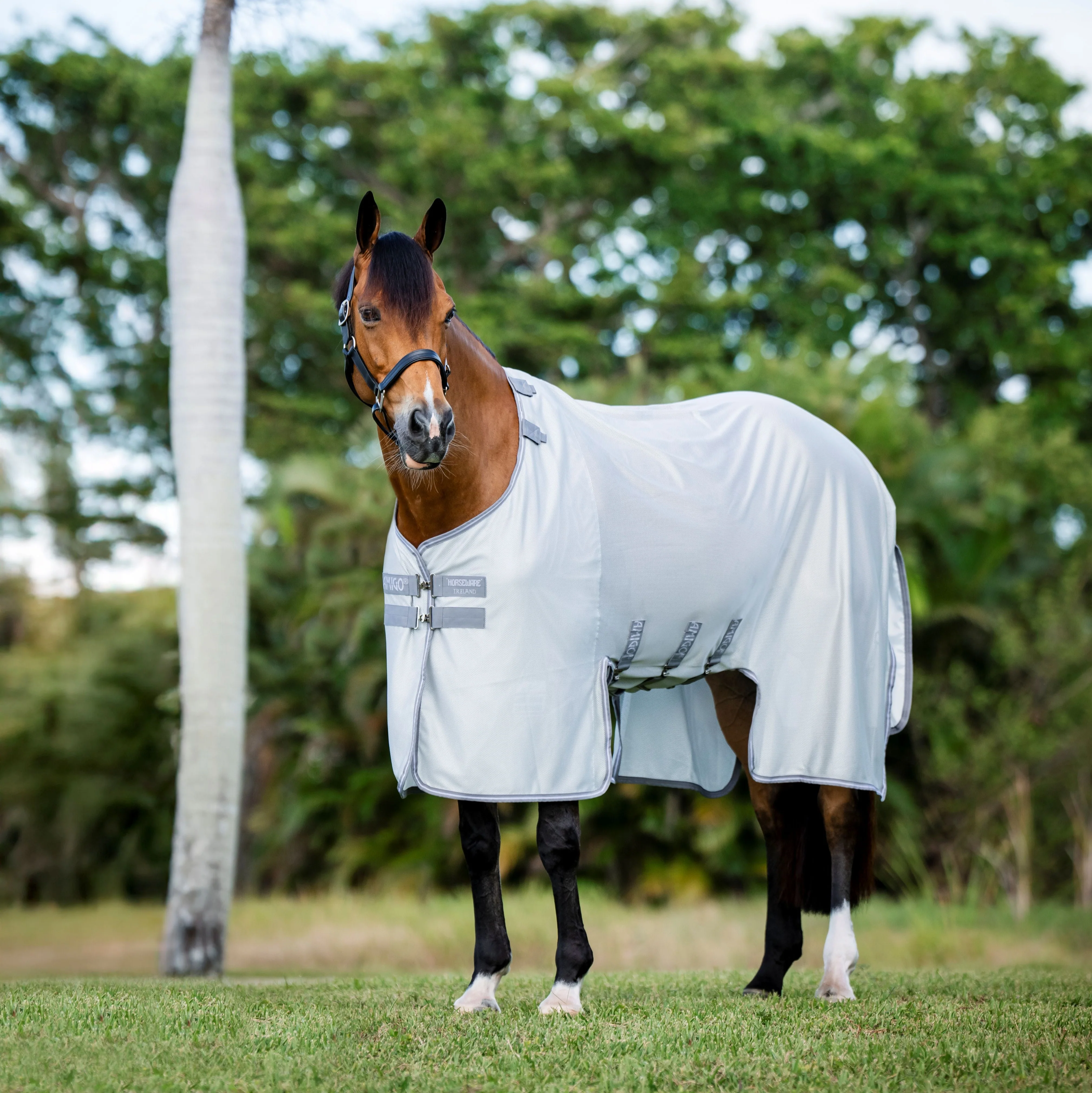 Horseware Ireland Amigo Bug Buster - Image 21