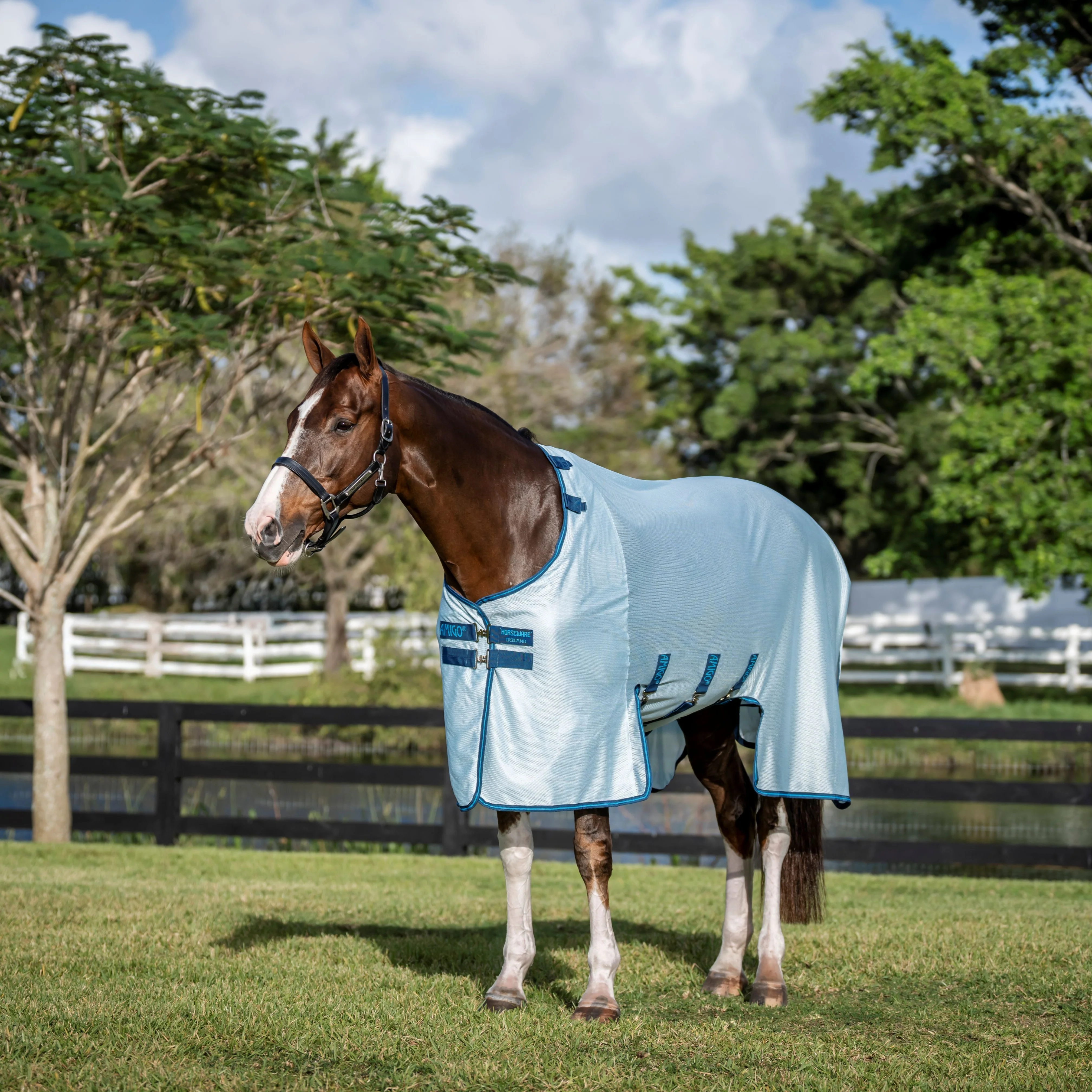 Horseware Ireland Amigo Bug Buster - Image 26