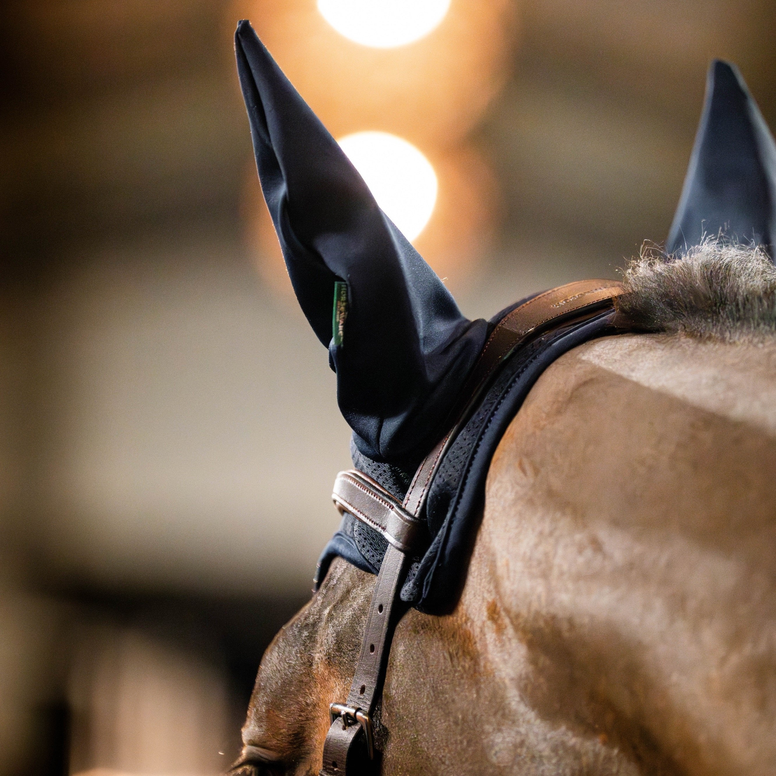Horseware Ireland Amigo Ear Net - Image 19