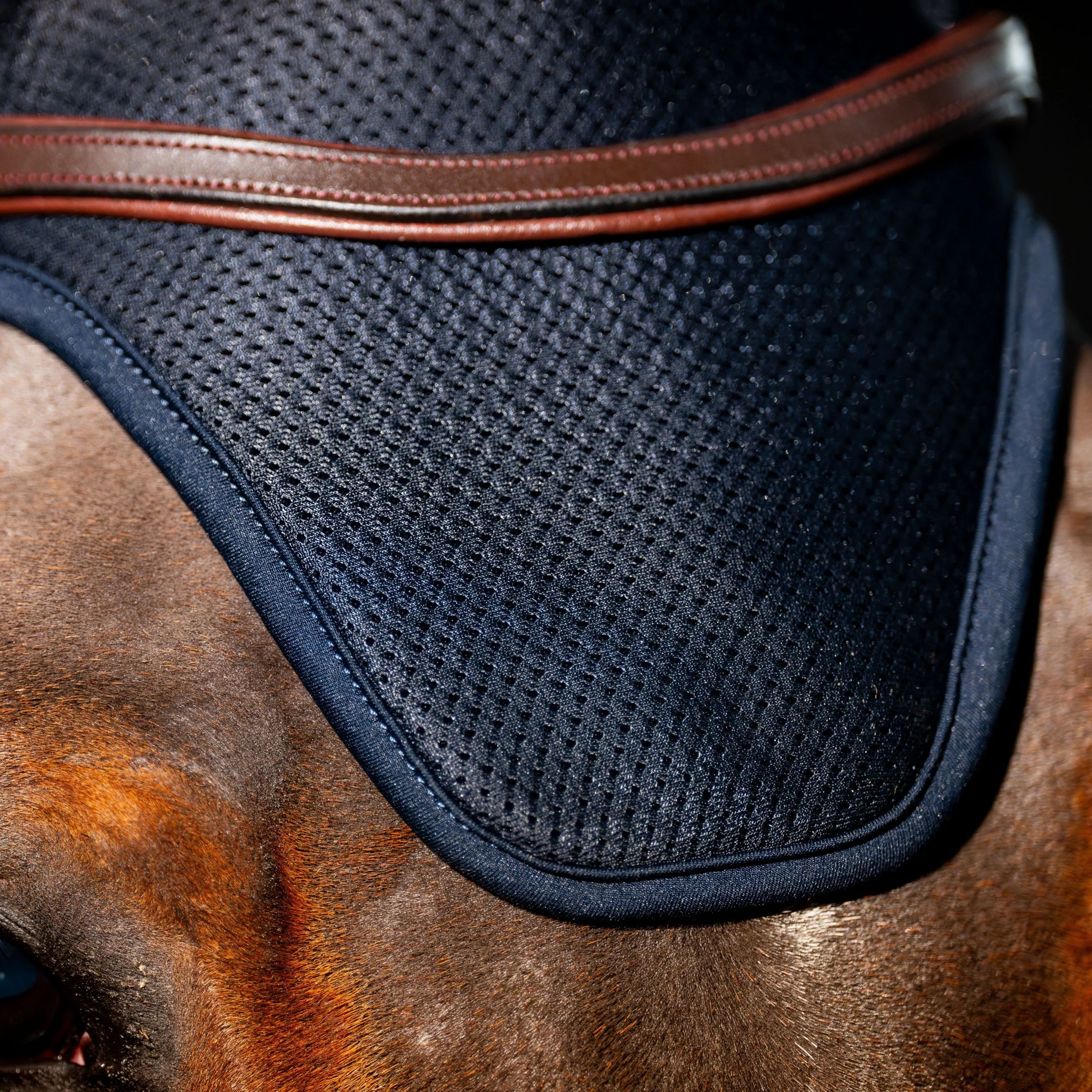 Horseware Ireland Amigo Ear Net - Image 21