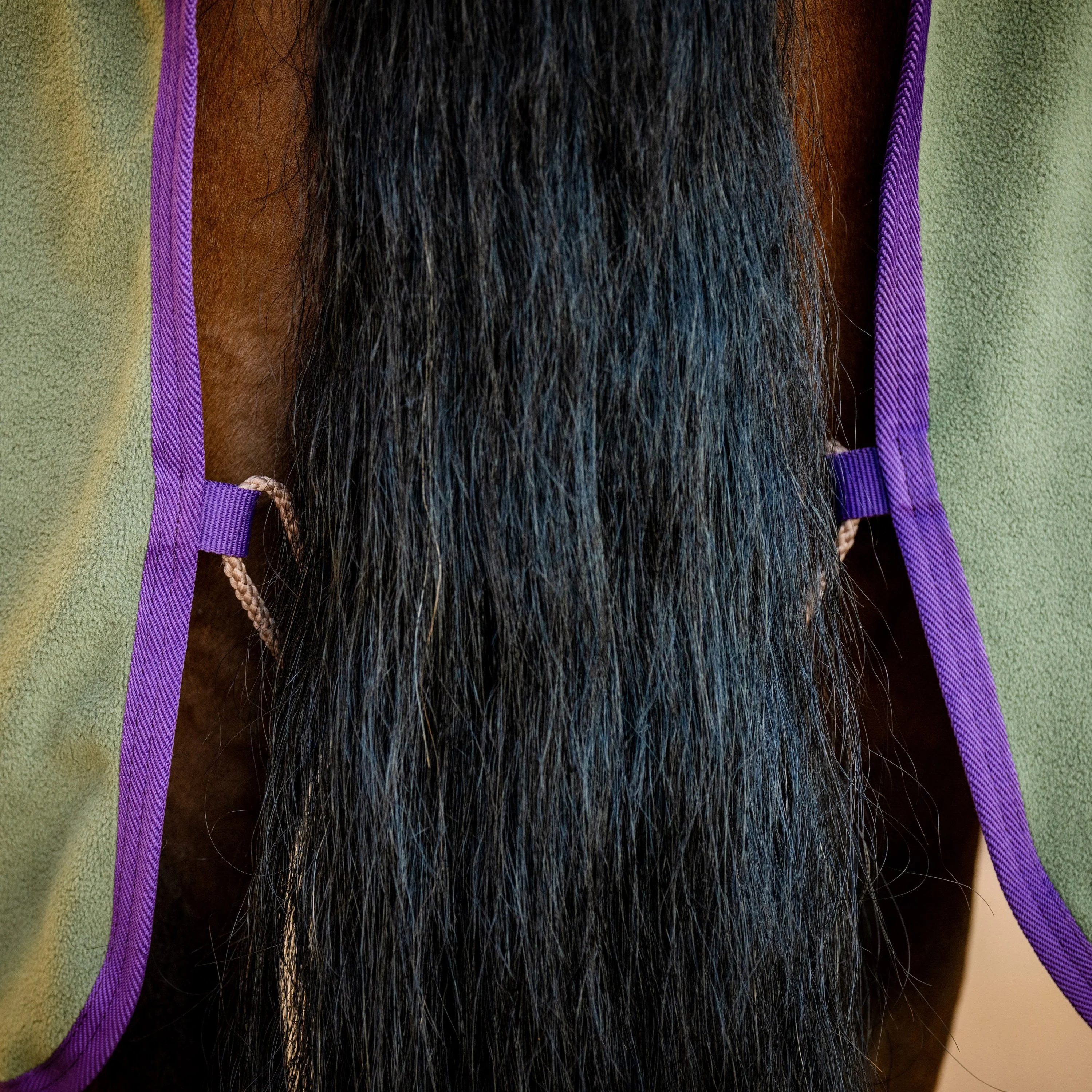 Horseware Ireland Amigo Fleece Cooler - Image 8