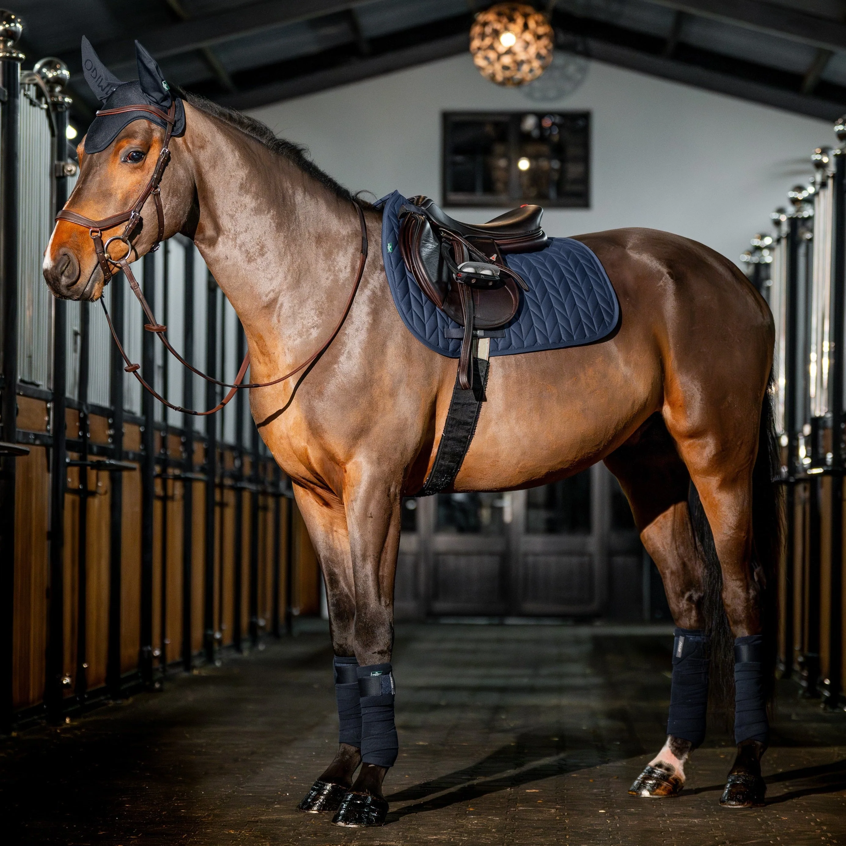 Horseware Ireland Amigo GP Saddle Pad - Image 7