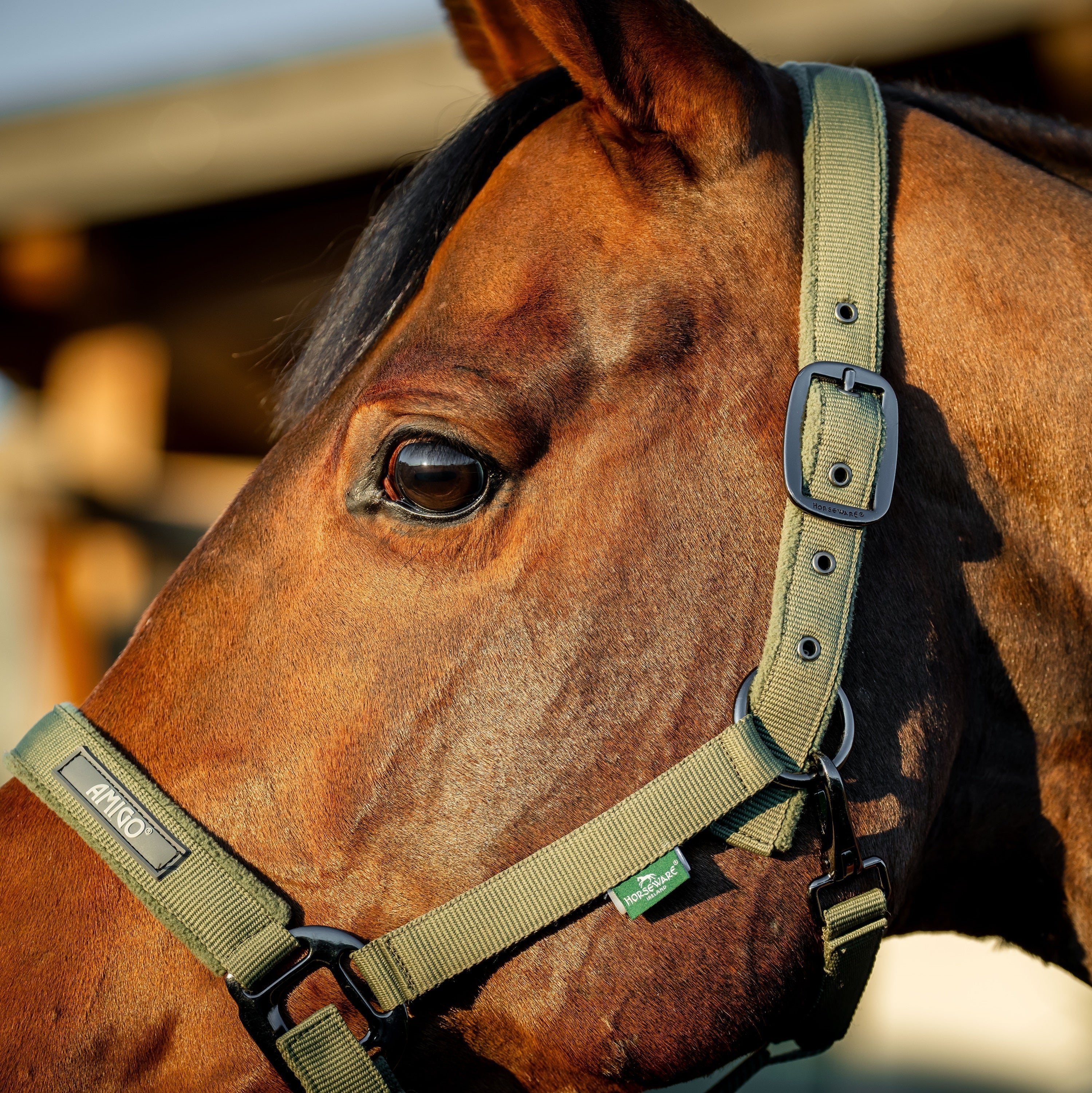 Horseware Ireland Amigo Headcollar & Leadrope Set - Image 16