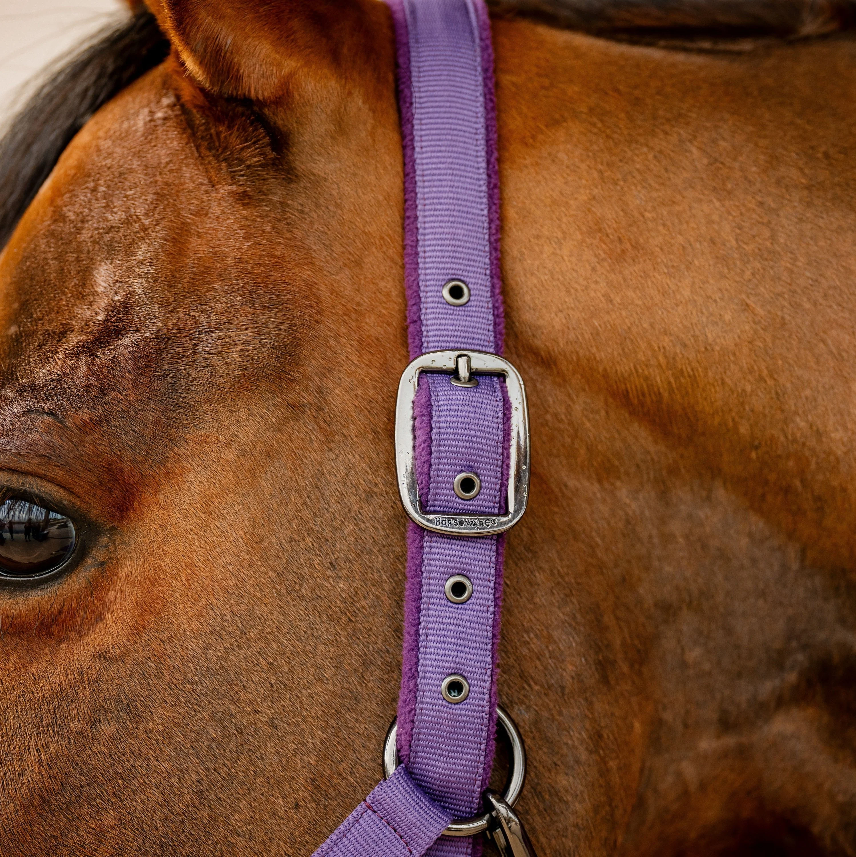 Horseware Ireland Amigo Headcollar & Leadrope Set - Image 40