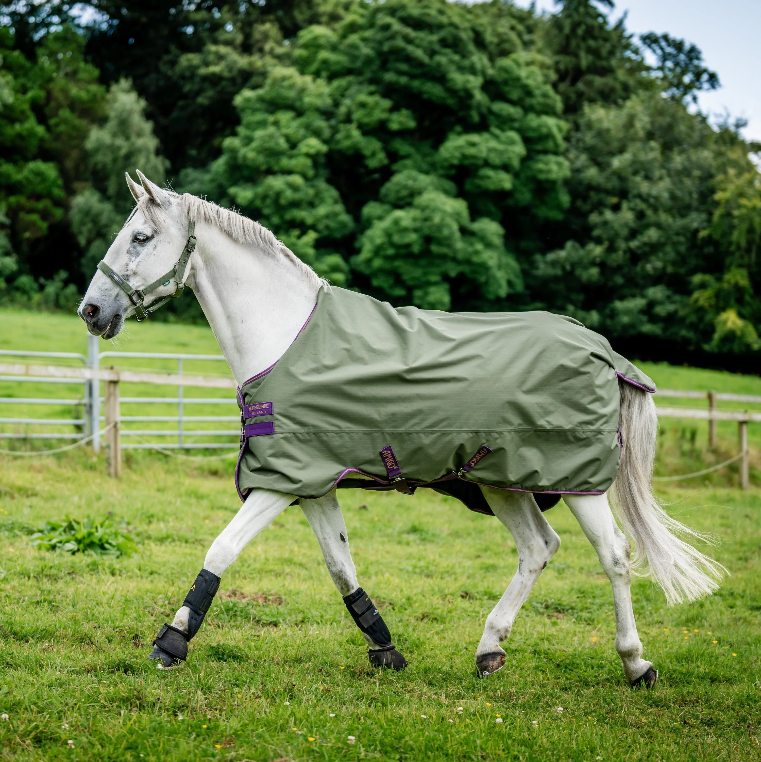 Horseware Ireland Amigo Hero Ripstop Lite 0g - Image 12