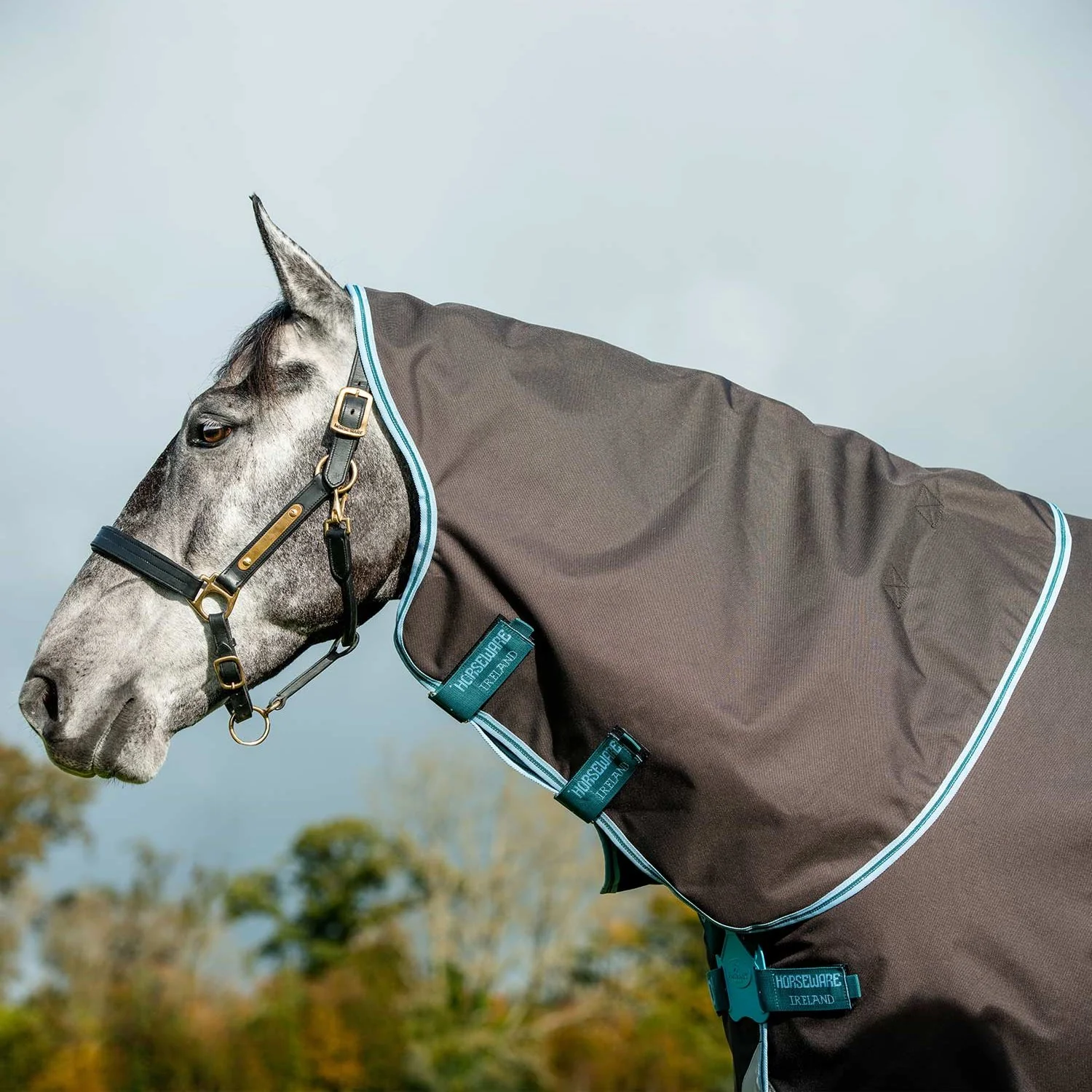 Horseware Ireland Amigo Bravo 1200D Original Hood 0g - Image 2