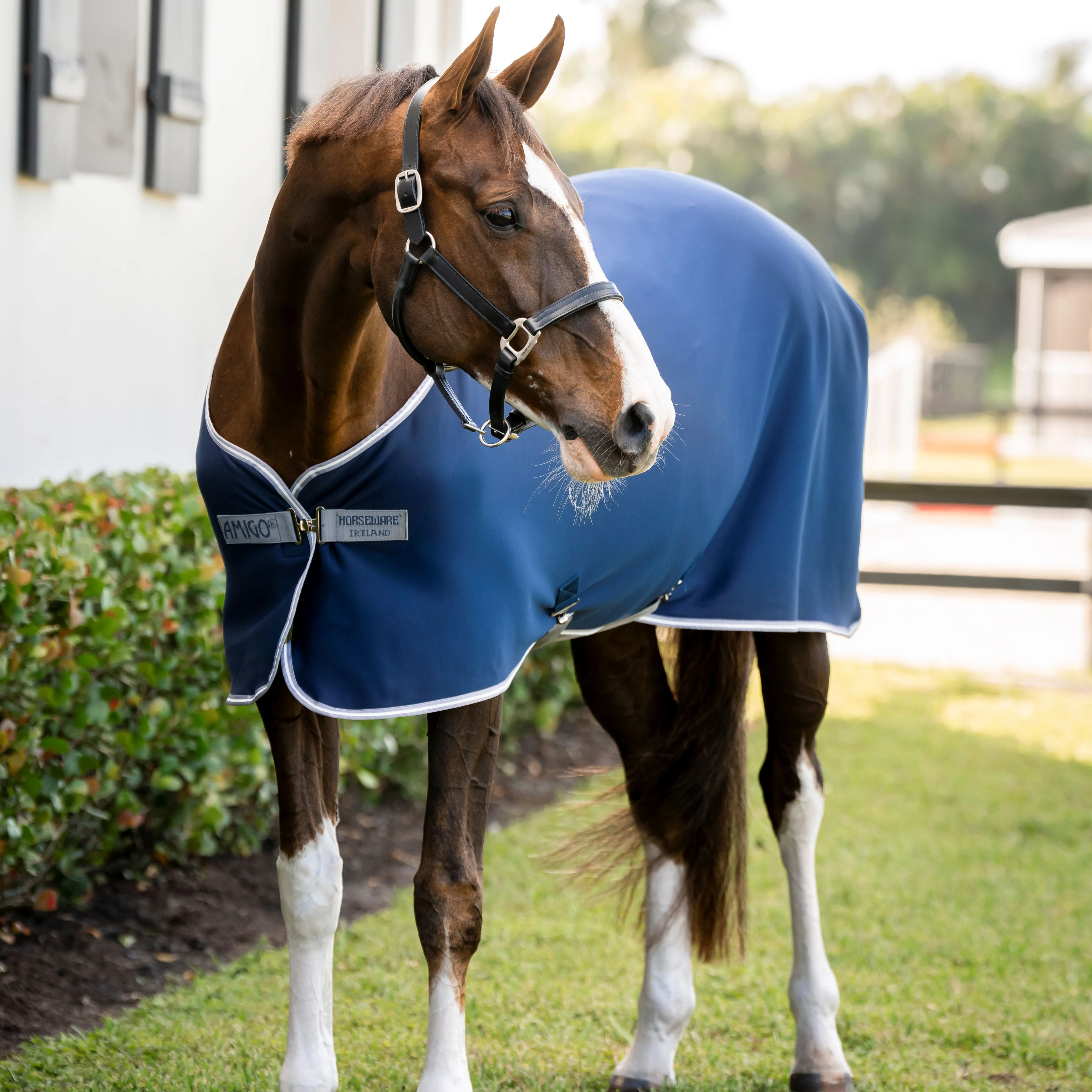 Horseware Ireland Amigo Jersey Cooler - Image 6