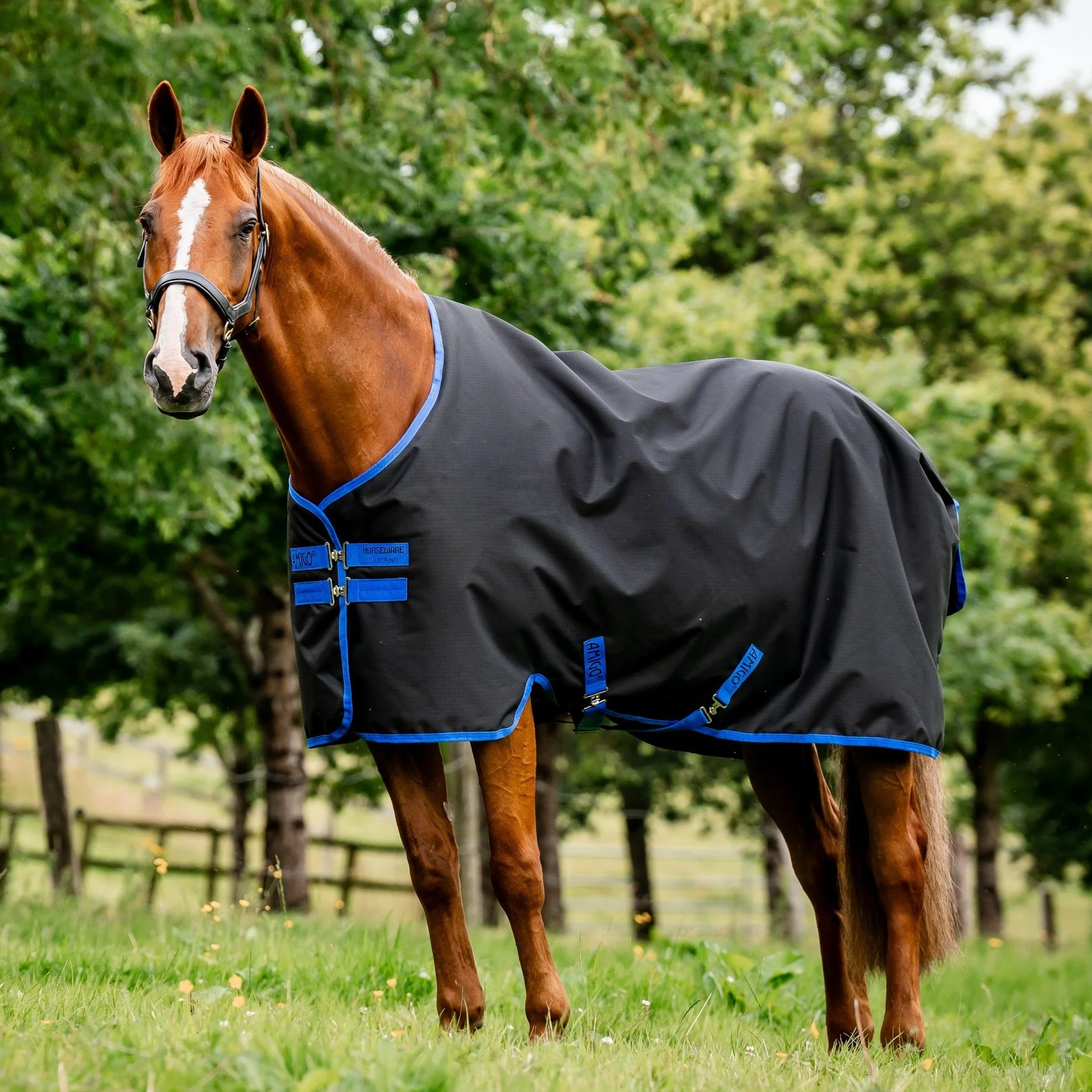 Horseware Ireland Amigo Ripstop 900 Fleece Lined 50g
