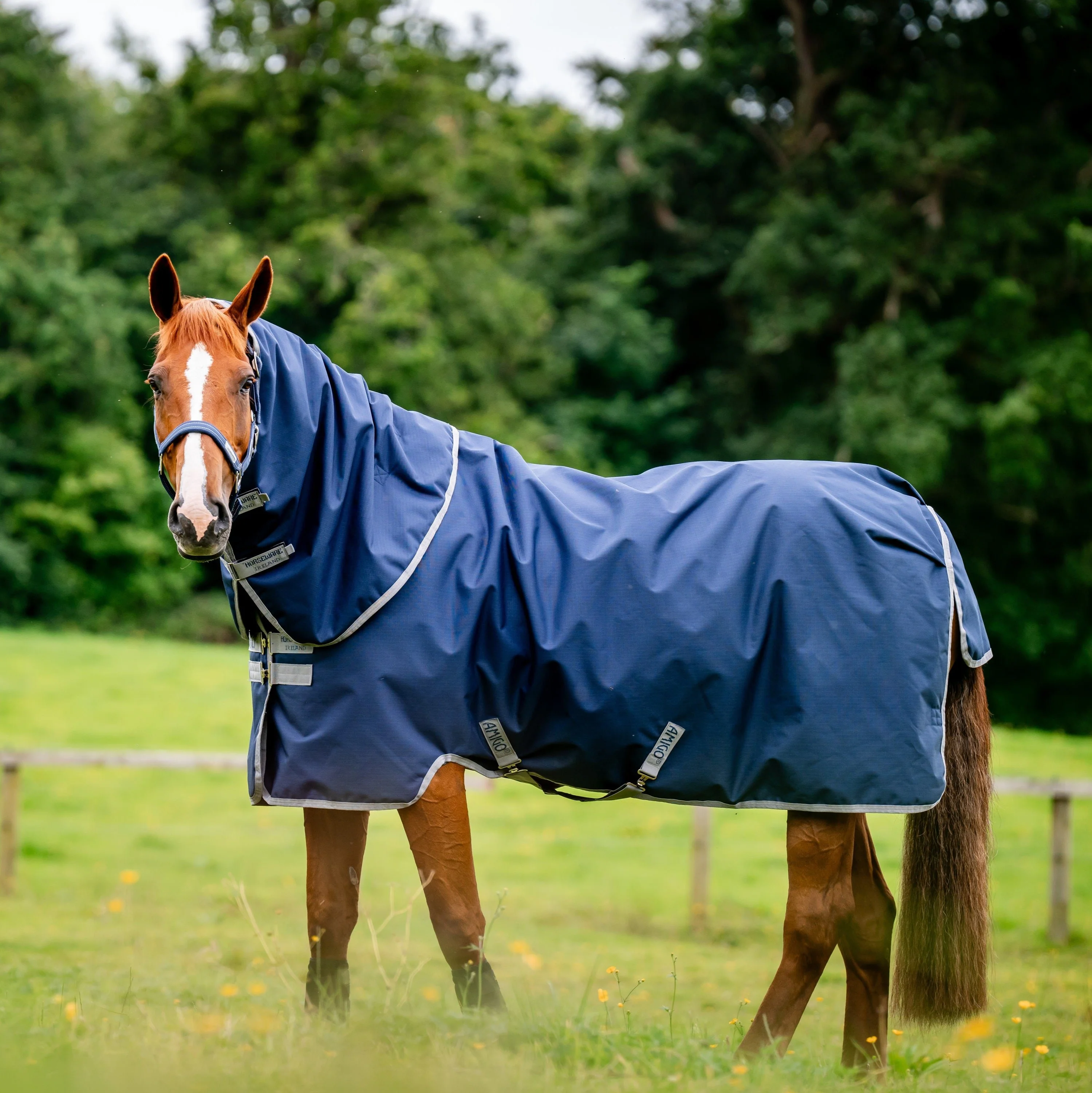 Horseware Ireland Amigo Ripstop 900 Plus 0g - Image 10