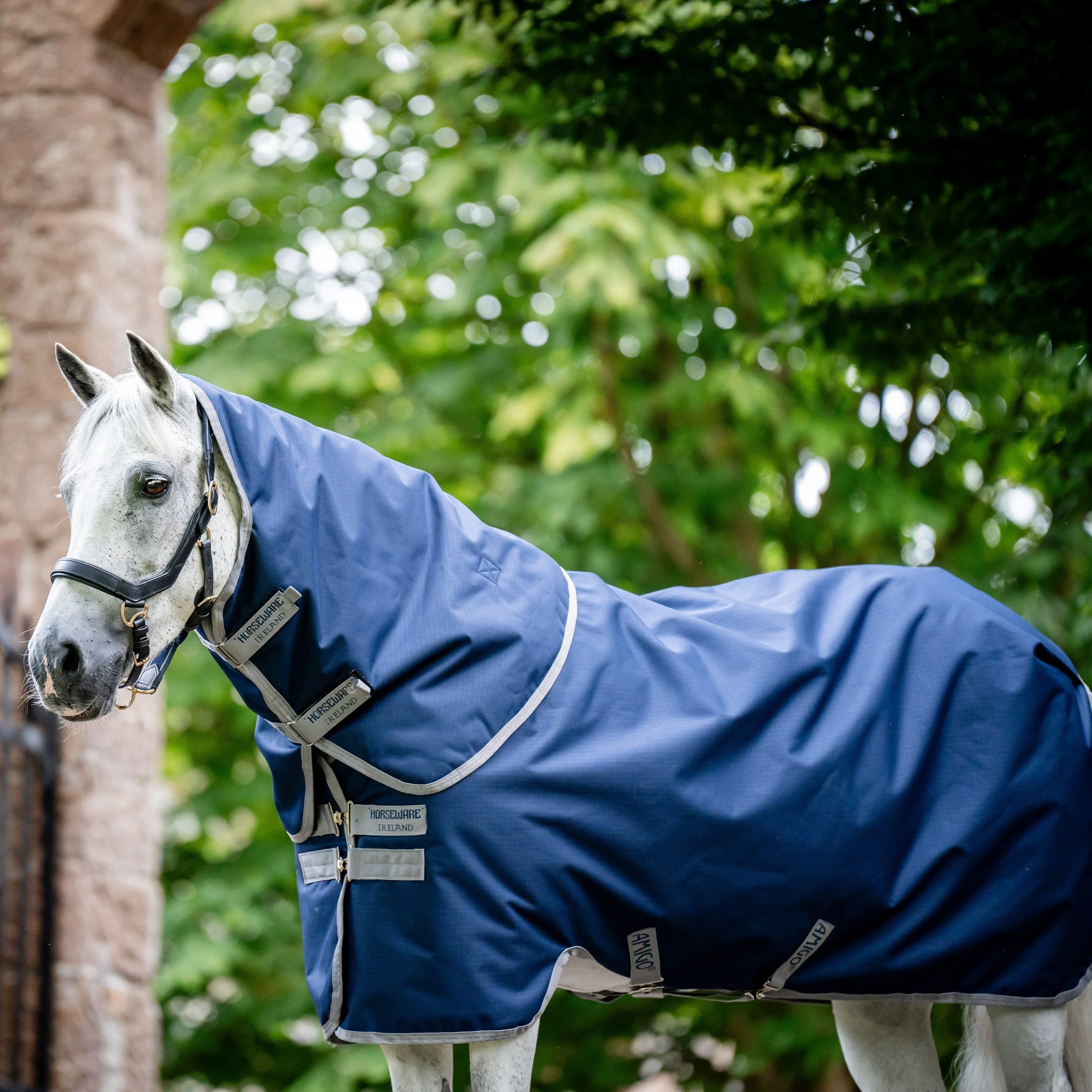 Horseware Ireland Amigo Ripstop 900 Plus 0g - Image 12