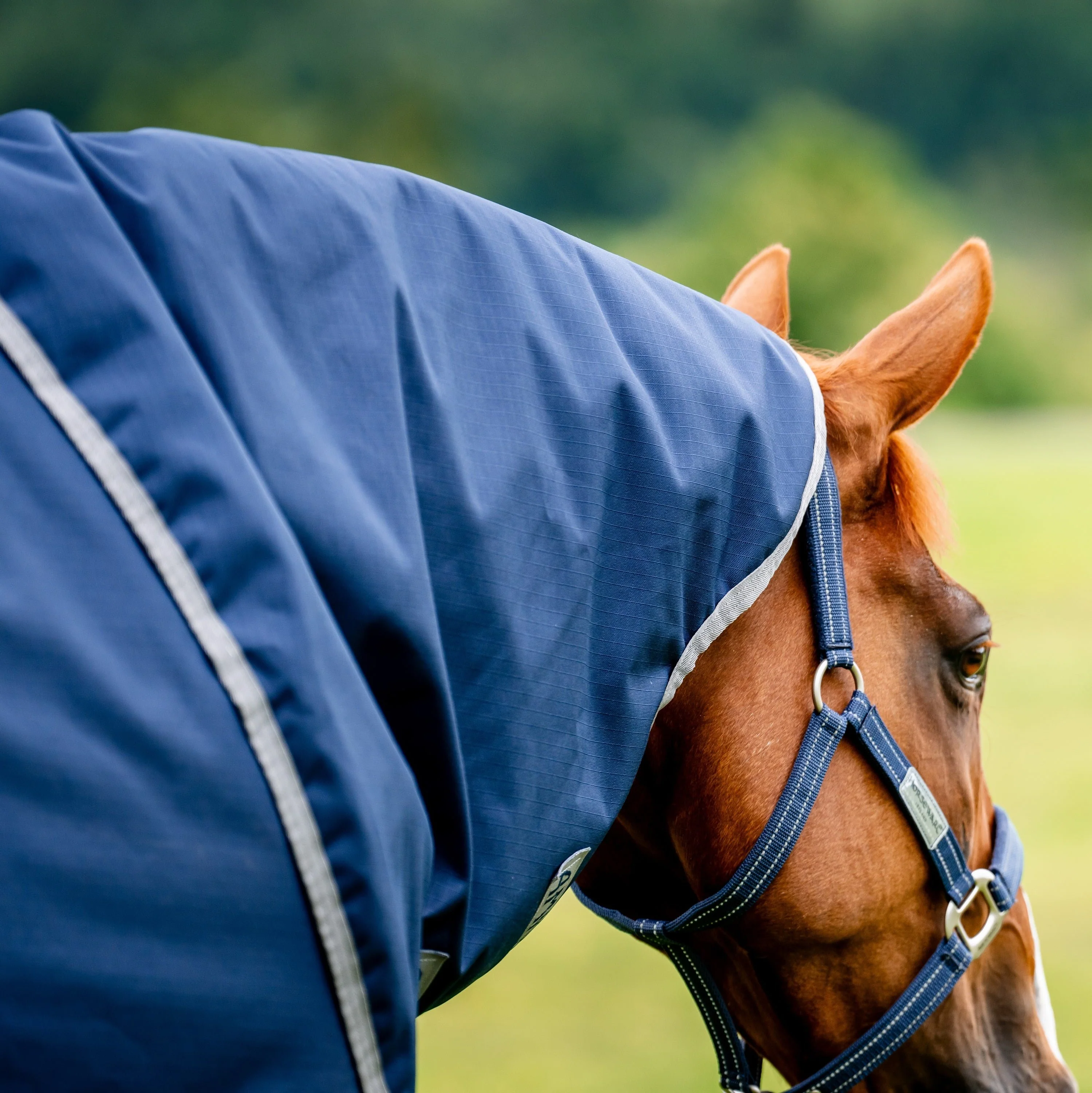 Horseware Ireland Amigo Ripstop 900 Plus 0g - Image 13