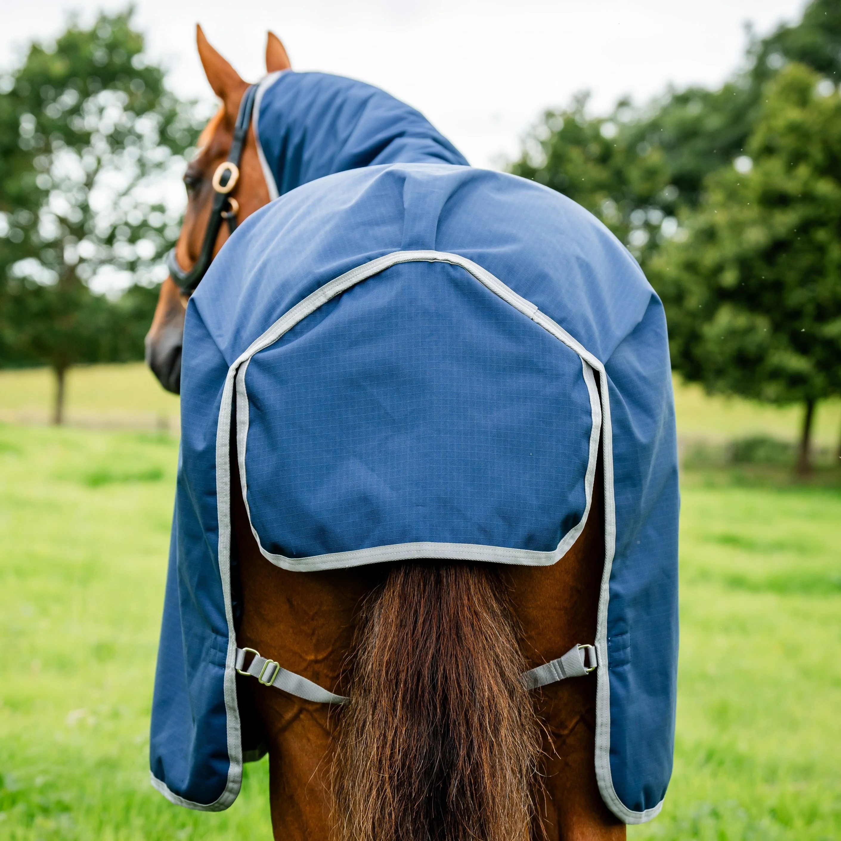 Horseware Ireland Amigo Ripstop 900 Plus 0g - Image 20