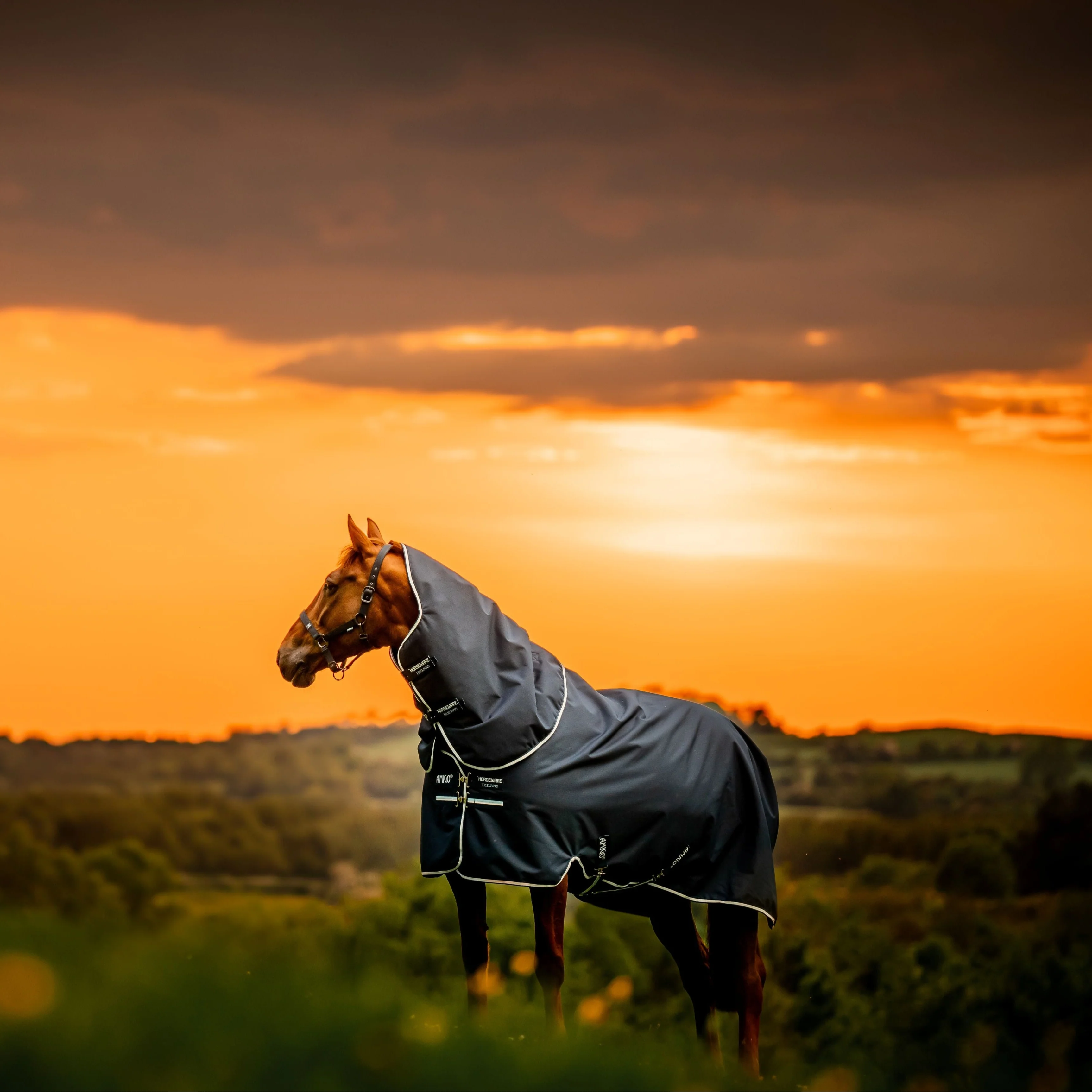 Horseware Ireland Amigo Ripstop 900 Plus 0g - Image 21