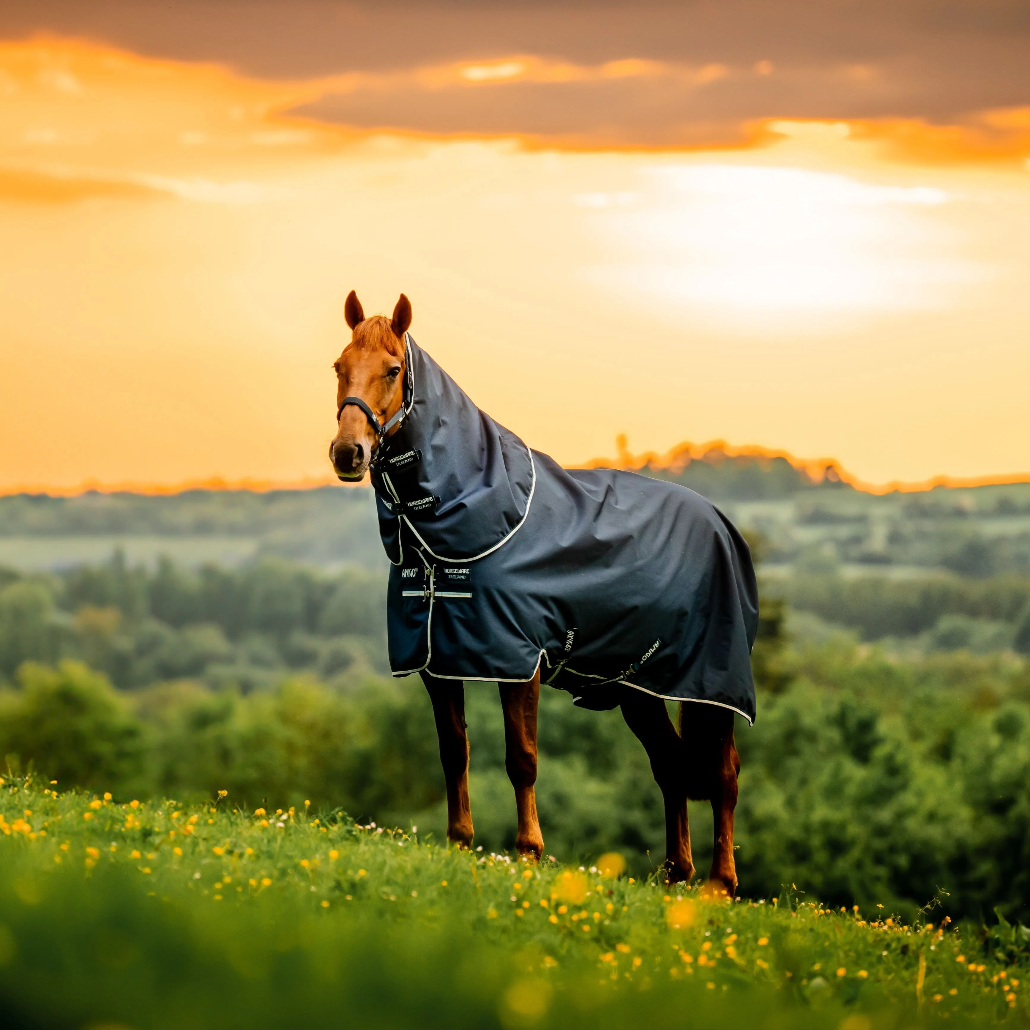 Horseware Ireland Amigo Ripstop 900 Plus 0g - Image 22
