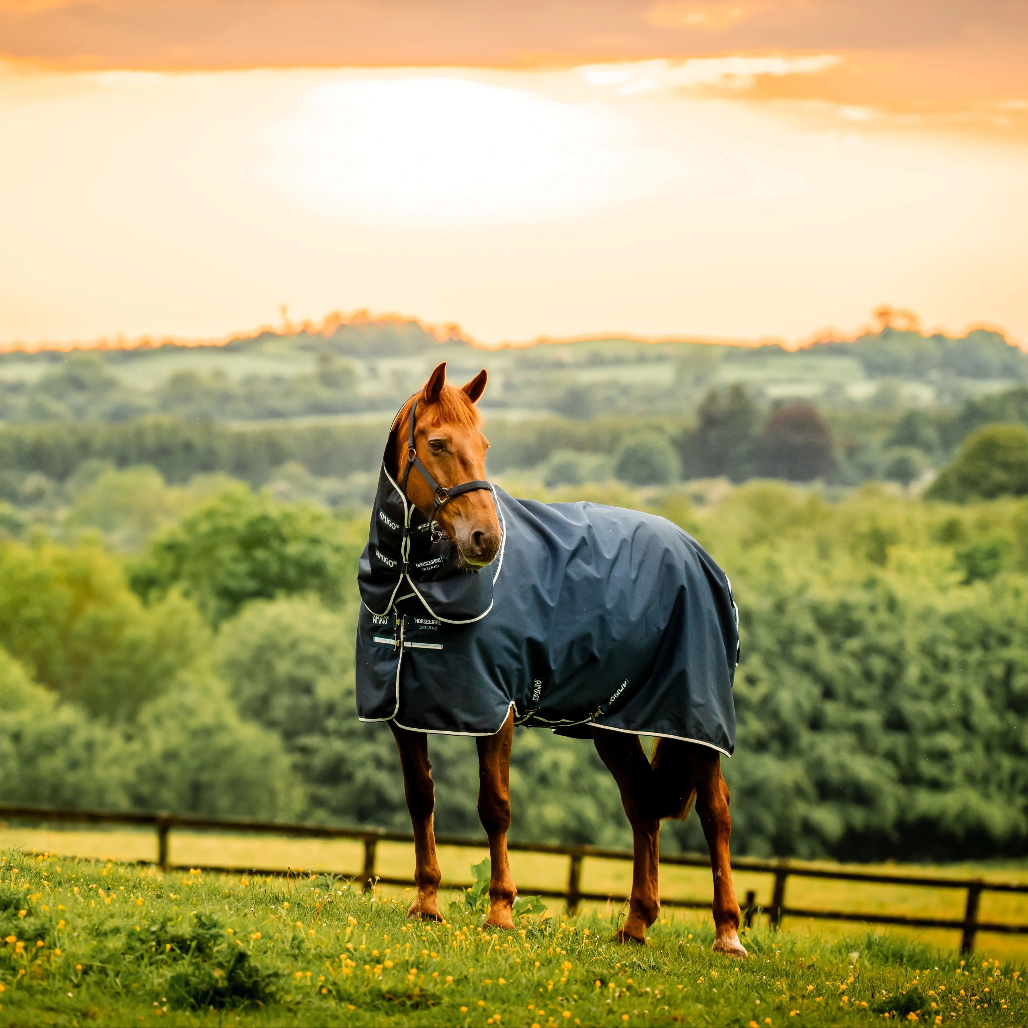 Horseware Ireland Amigo Ripstop 900 Plus 0g - Image 23