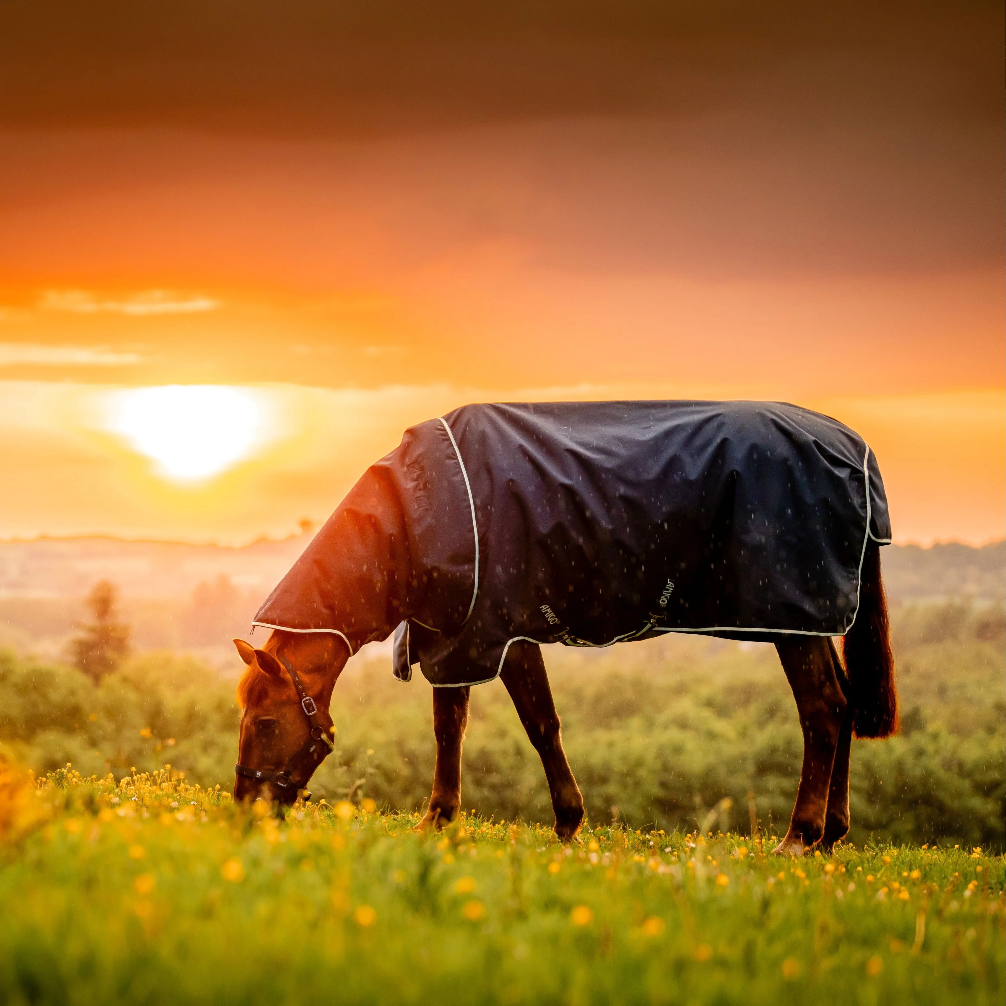 Horseware Ireland Amigo Ripstop 900 Plus 0g - Image 25