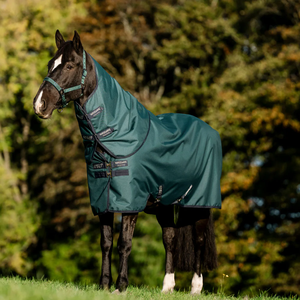 Horseware Ireland Amigo Ripstop 900 Plus 0g - Image 32