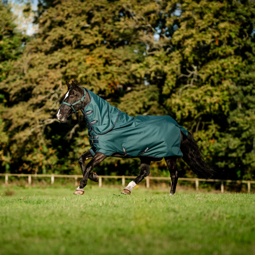 Horseware Ireland Amigo Ripstop 900 Plus 0g - Image 33