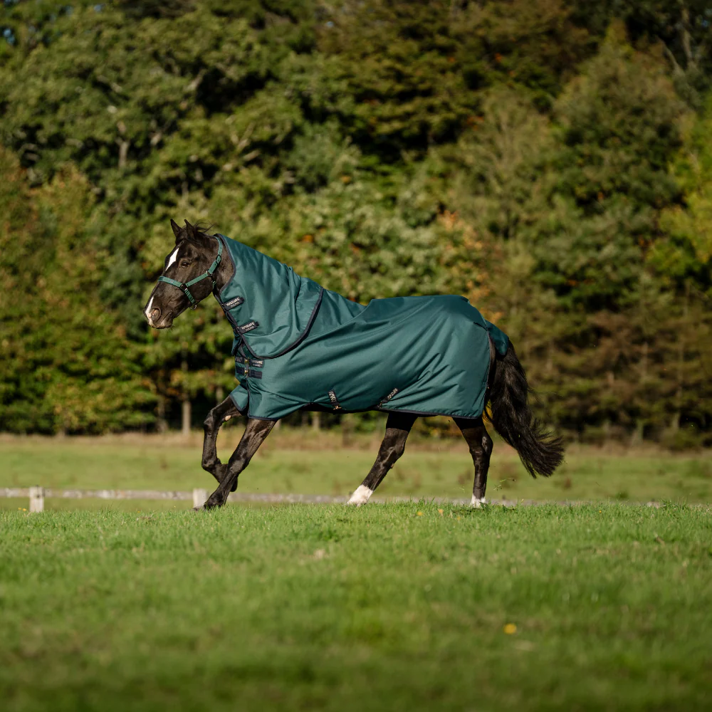 Horseware Ireland Amigo Ripstop 900 Plus 0g - Image 40