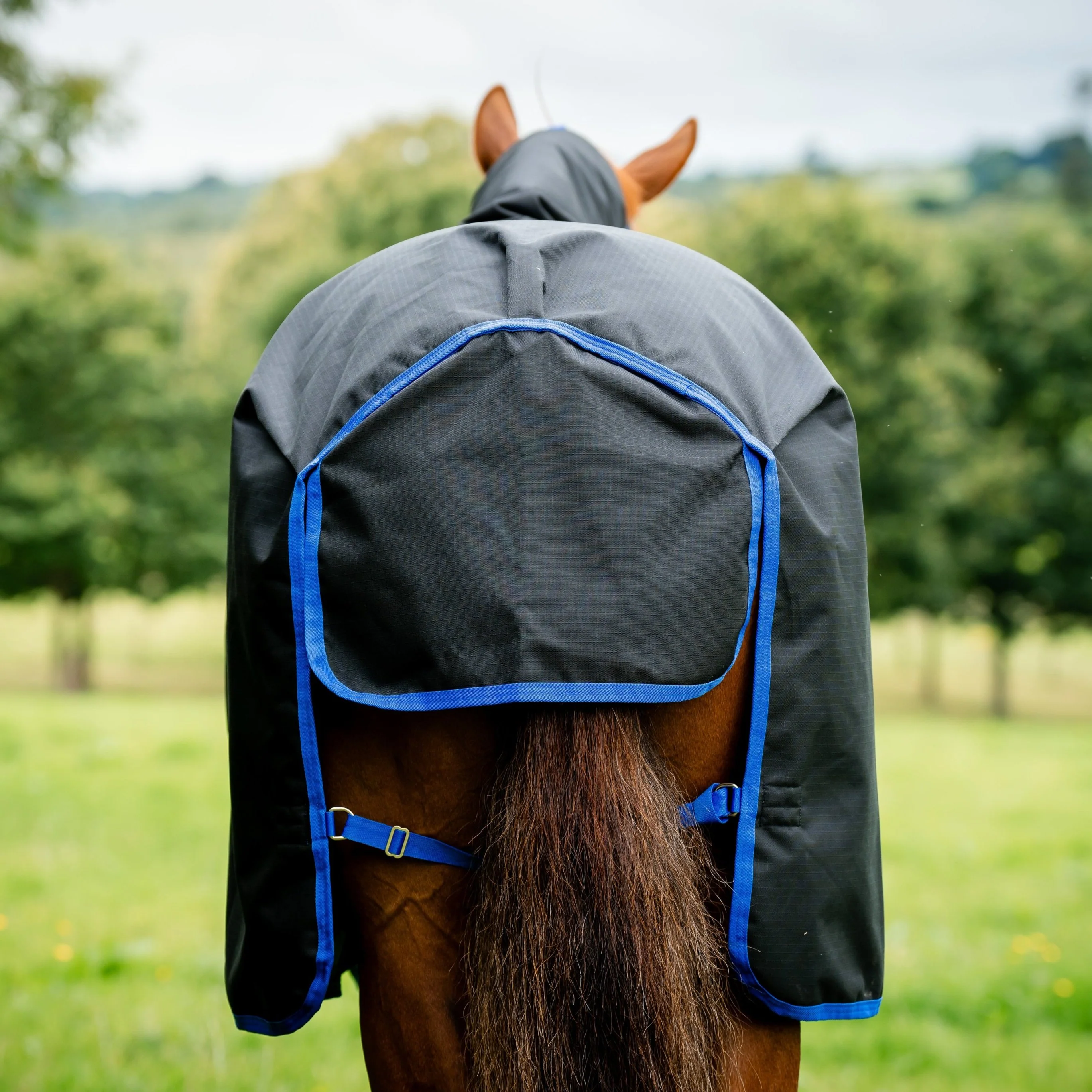 Horseware Ireland Amigo Ripstop 900 Plus 0g - Image 7